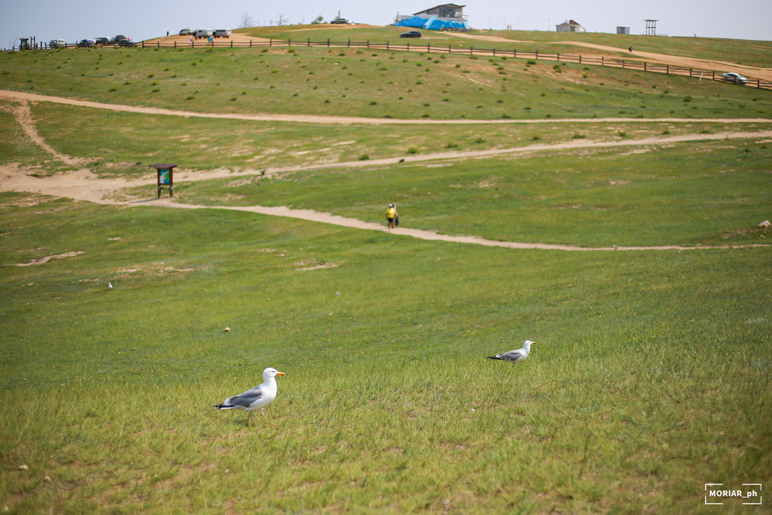 Отпуск. Портретный и репортажный фотограф в Кемерово Алексеева Анастасия