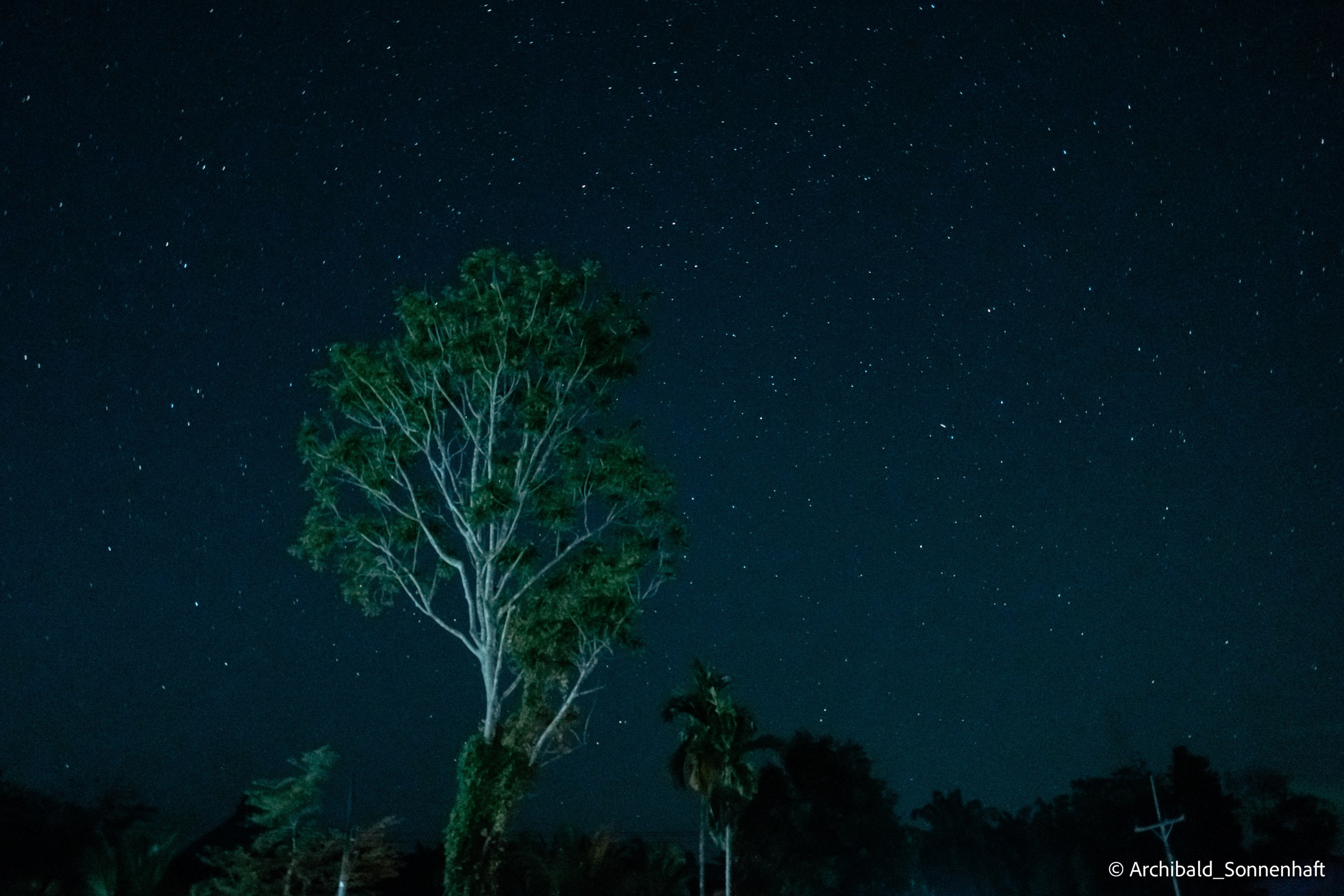 Thai monk. Photographer in Guangzhou, China. Archibald Sonnenhaft