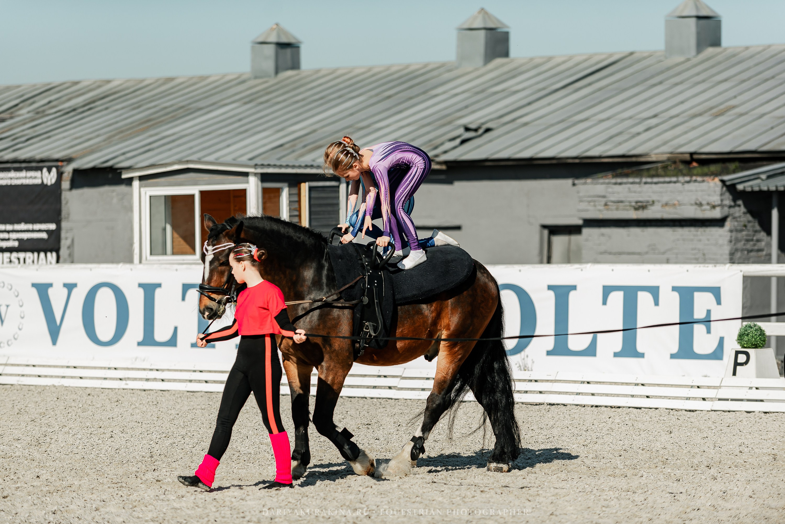 РЕПОРТАЖ МКК ВОЛЬТ «LA TULIPS». Конный фотограф Куракина Дарья • Фотосессии с лошадьми