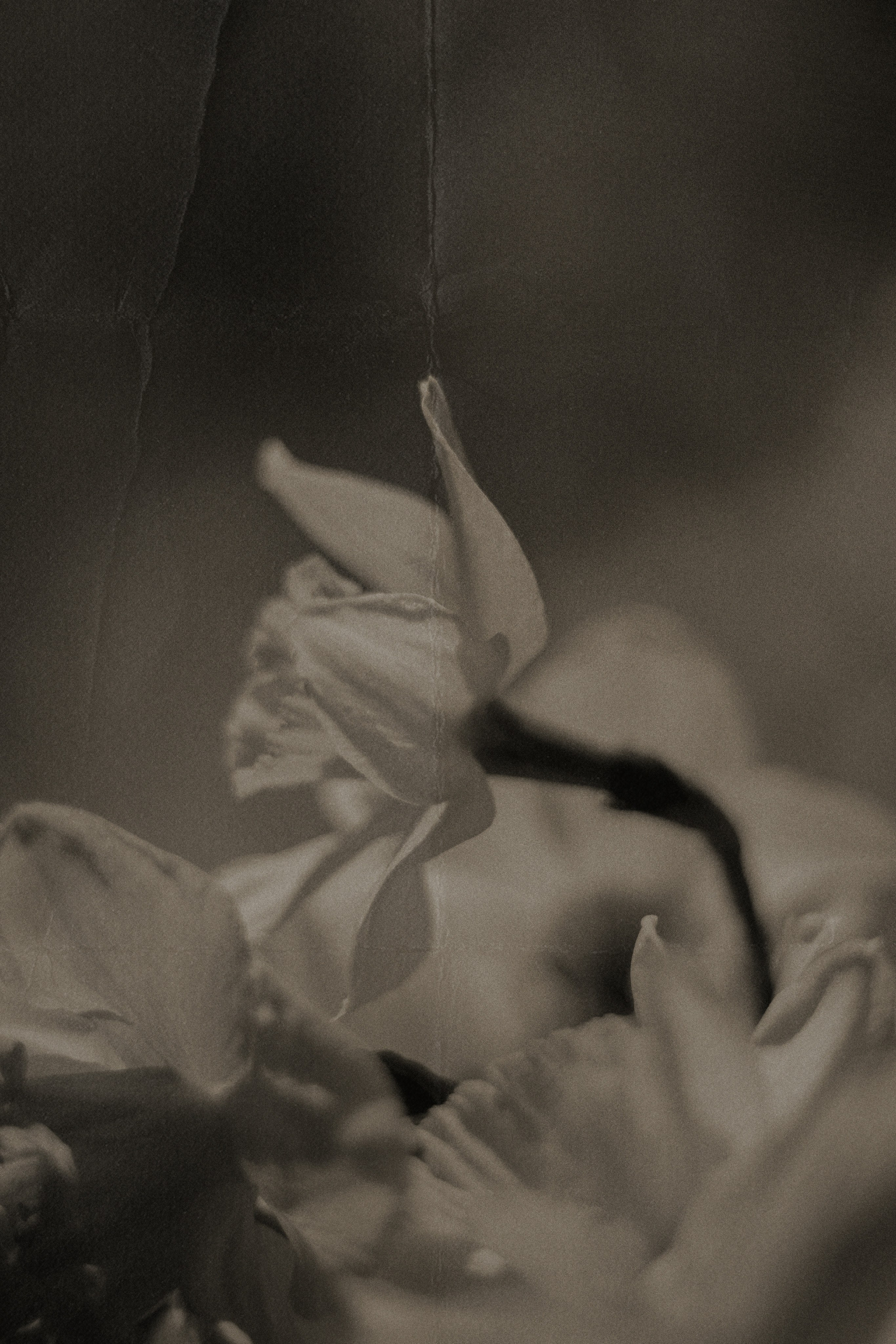 ПОРТРЕТ. Портретный и семейный фотограф в Мариуполе, РФ. Даша Жогло