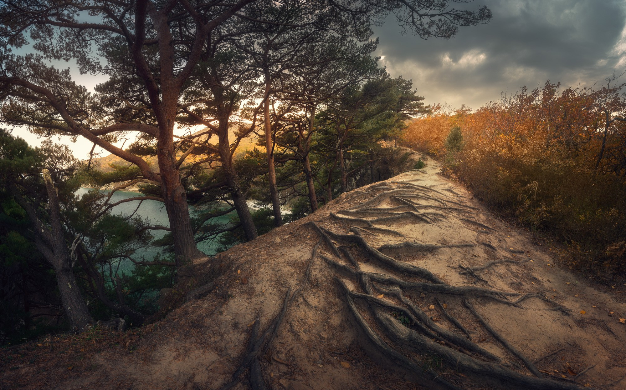 Пейзаж. Андрей Кровлин — фотограф в Славянке