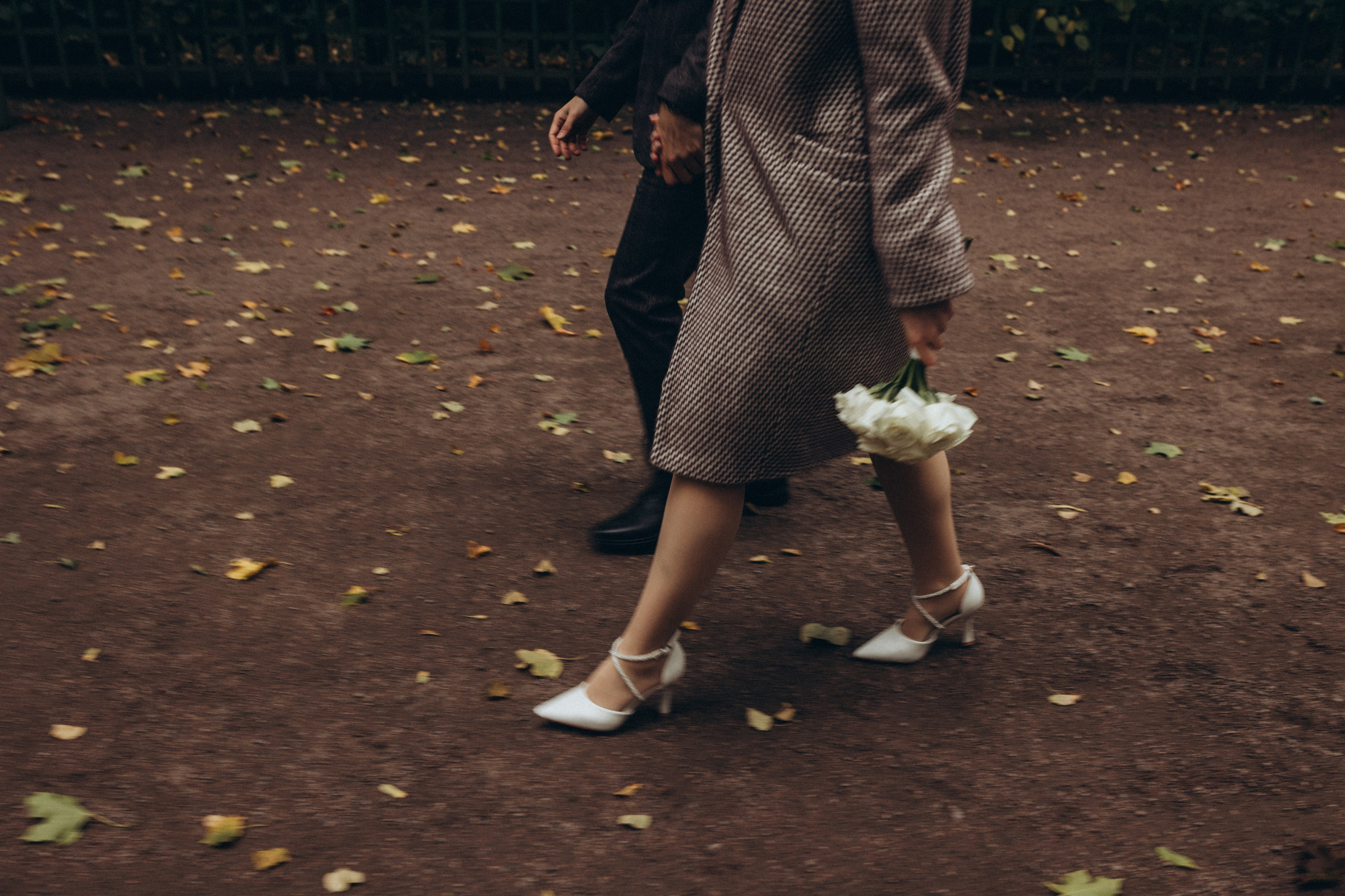 Летний сад в октябре. Фотограф Санкт-Петербург|СПБ|Питер Марина Медведева