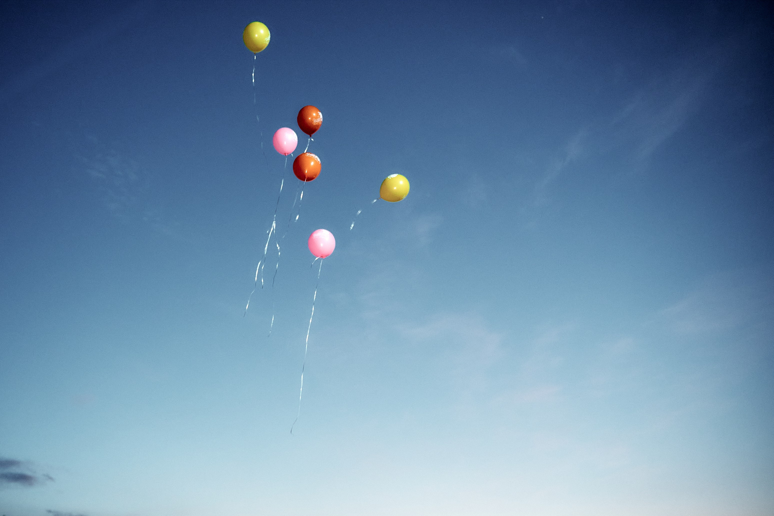 Фотосессия Выпускной. Последний звонок. Краснодар. Крым. Петр Ступень. Свадебное, семейное фото и видео. Москва. Краснодар