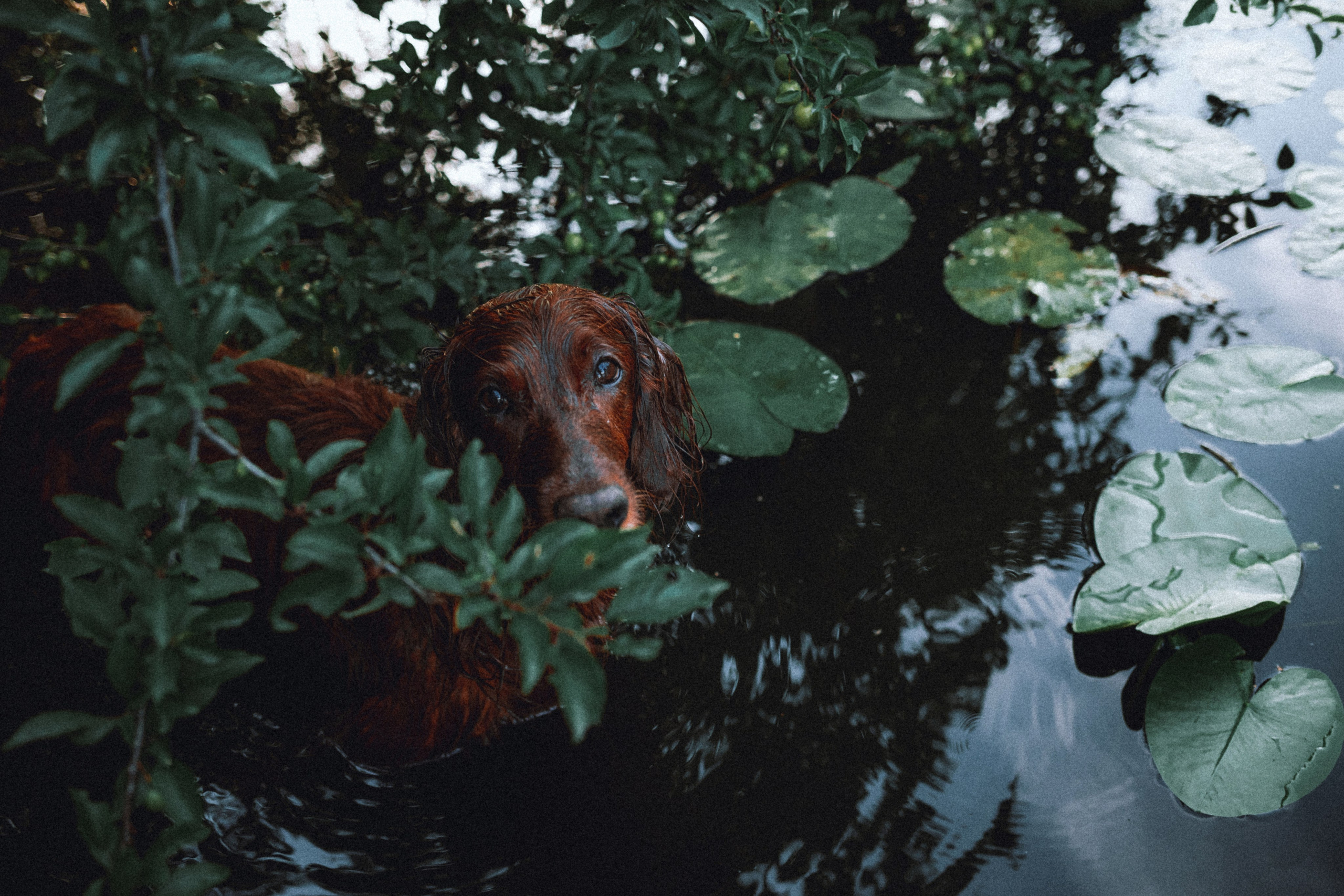 Маша и Джерри