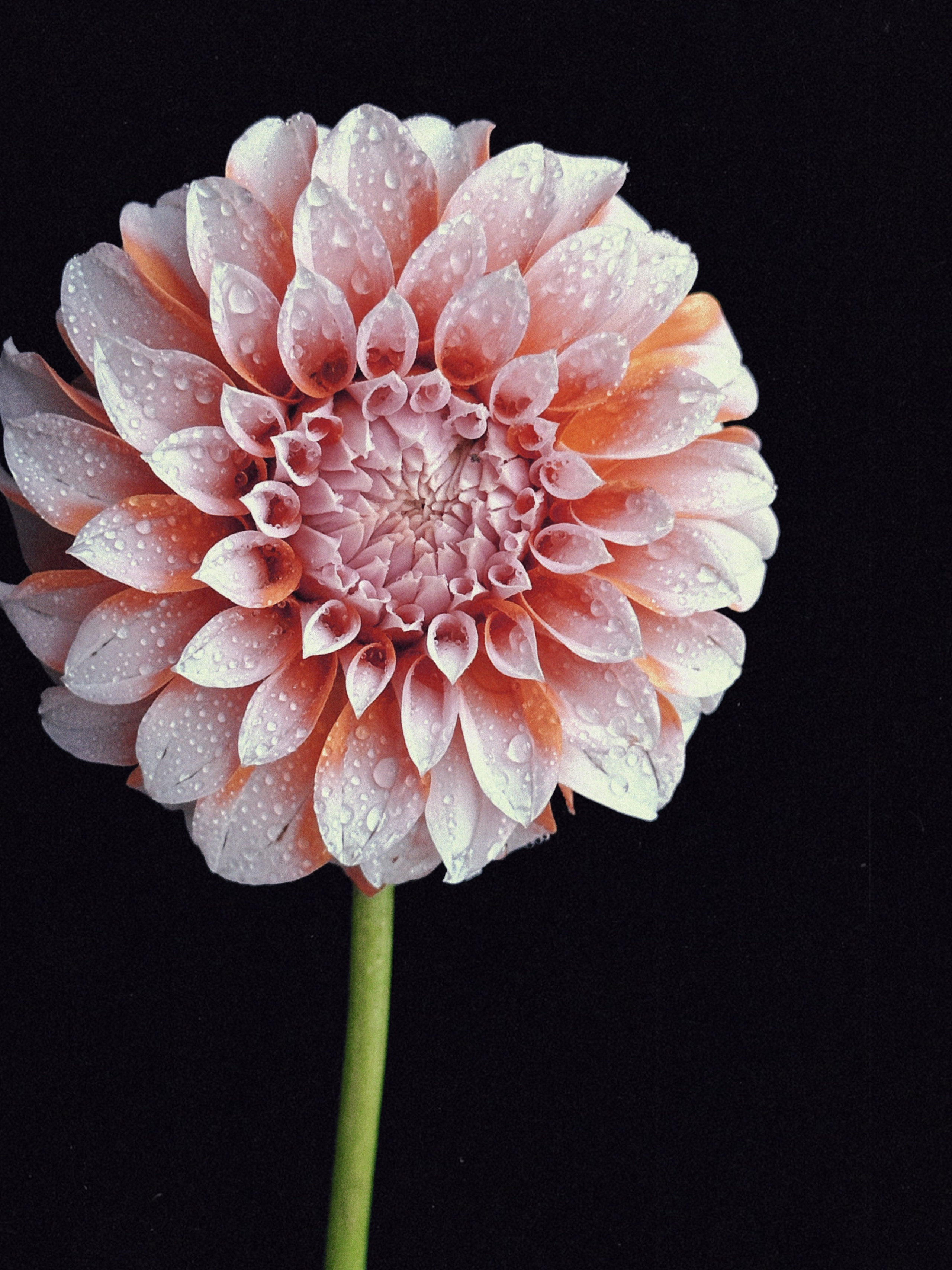 Предметная съёмка. Чувственный мобильный фотограф в Казани и Сочи Дьяченко Дарья