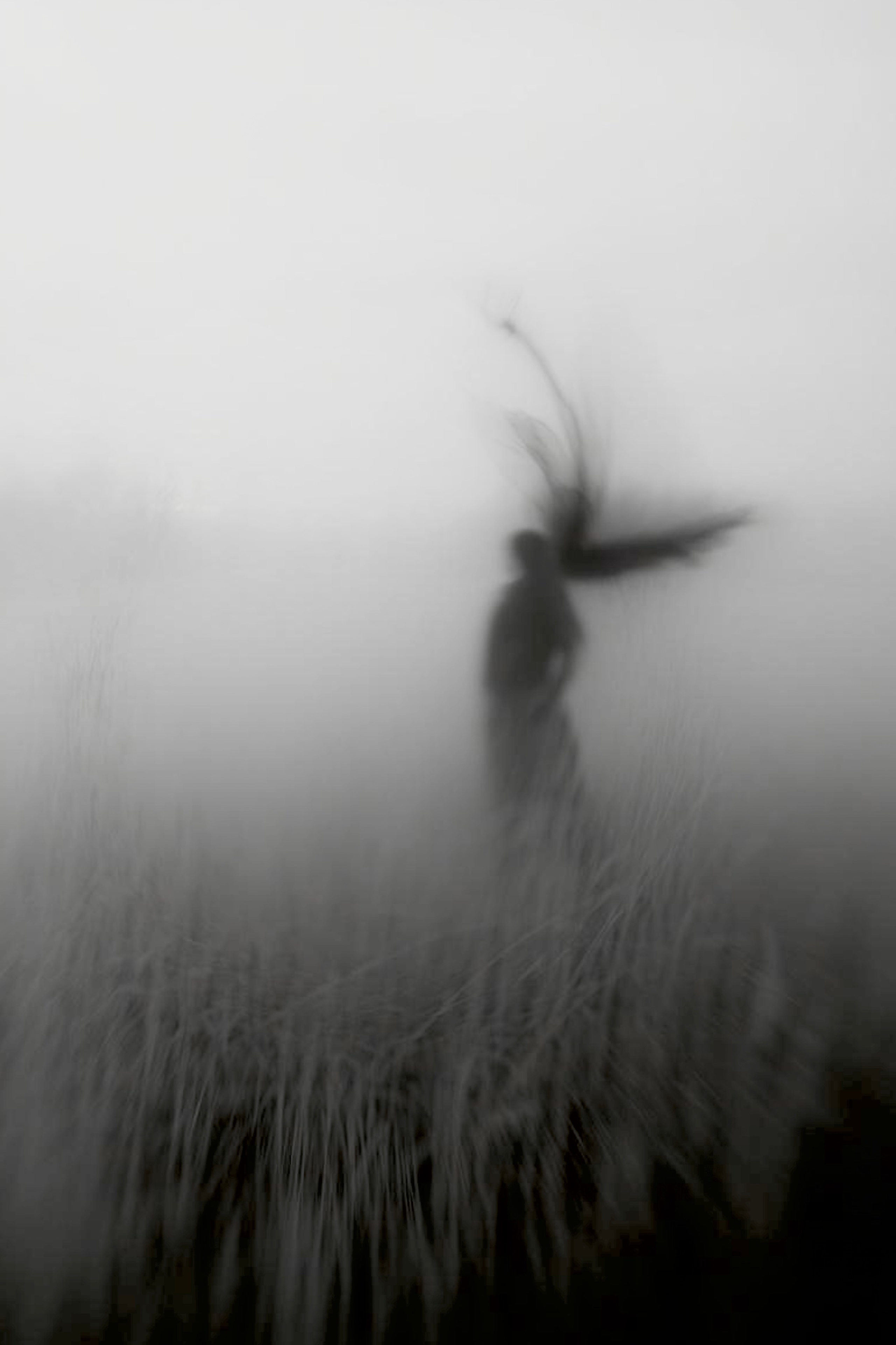 Портфолио. Фотограф в Нефтеюганске