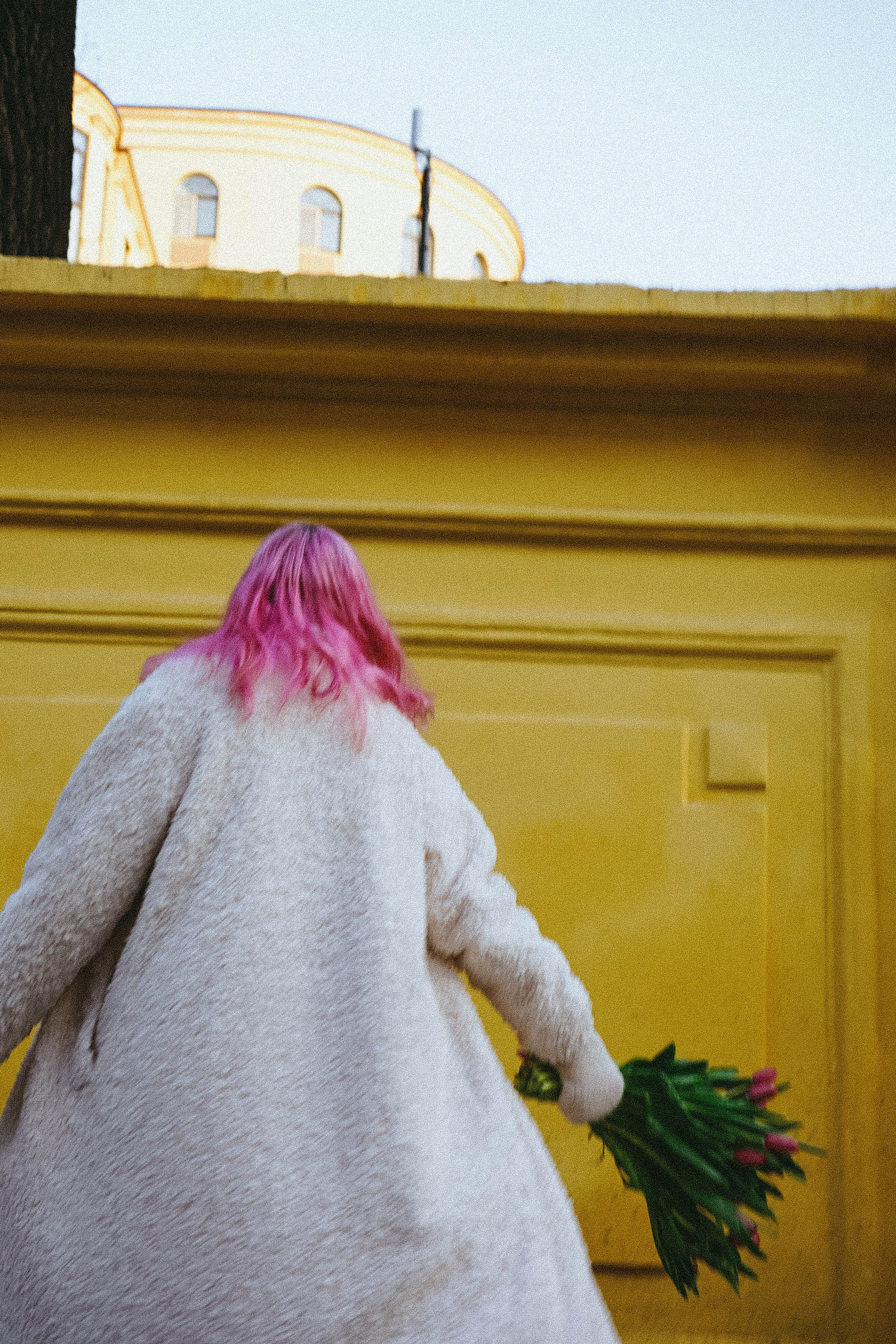 Тюльпаны. Профессиональный фотограф, Санкт-Петербург — Виктория Богомолова