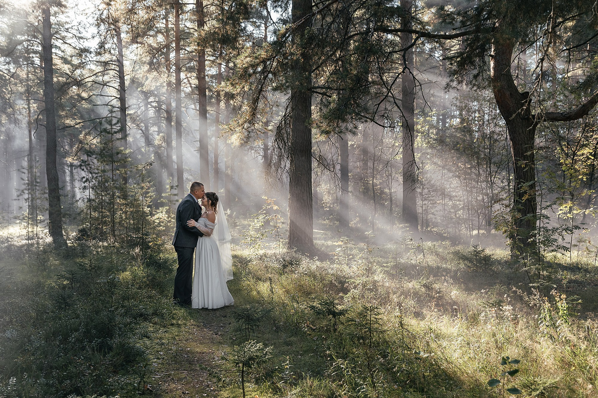 Жених и невеста в тумане солнечные лучи в лесу 