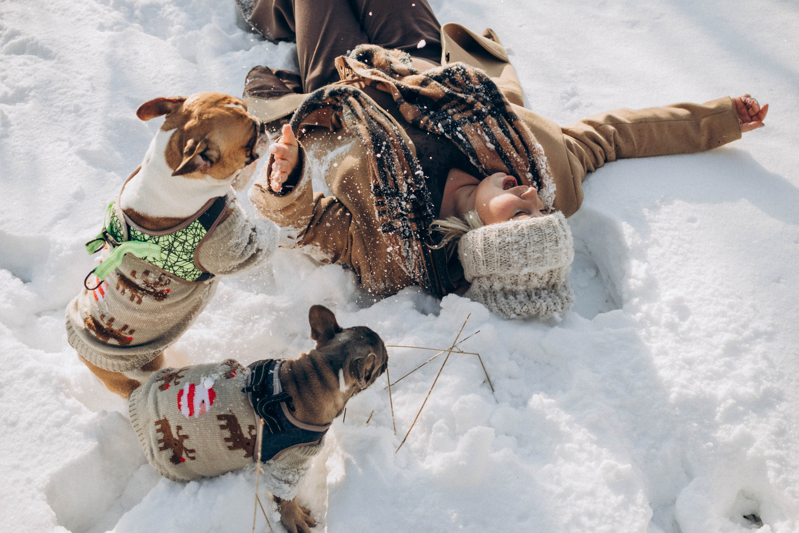 Зима. Семейный фотограф Наталия Демченко, Краснодар