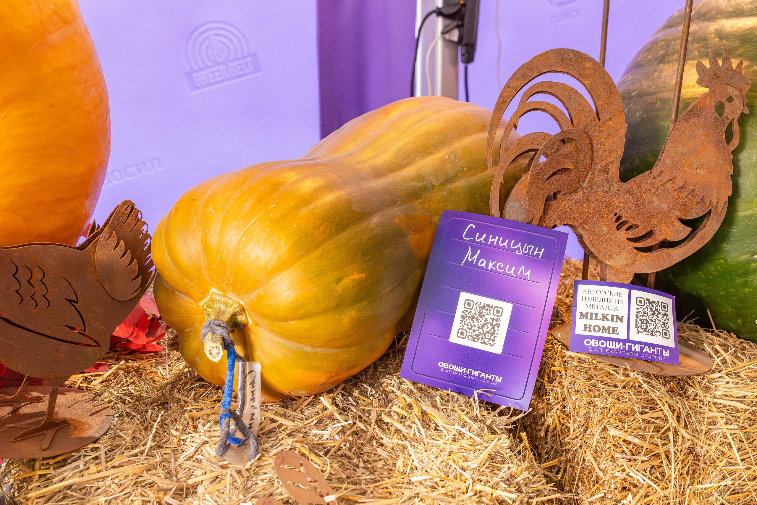 Овощи-гиганты. Александра Куликова фотограф, Москва