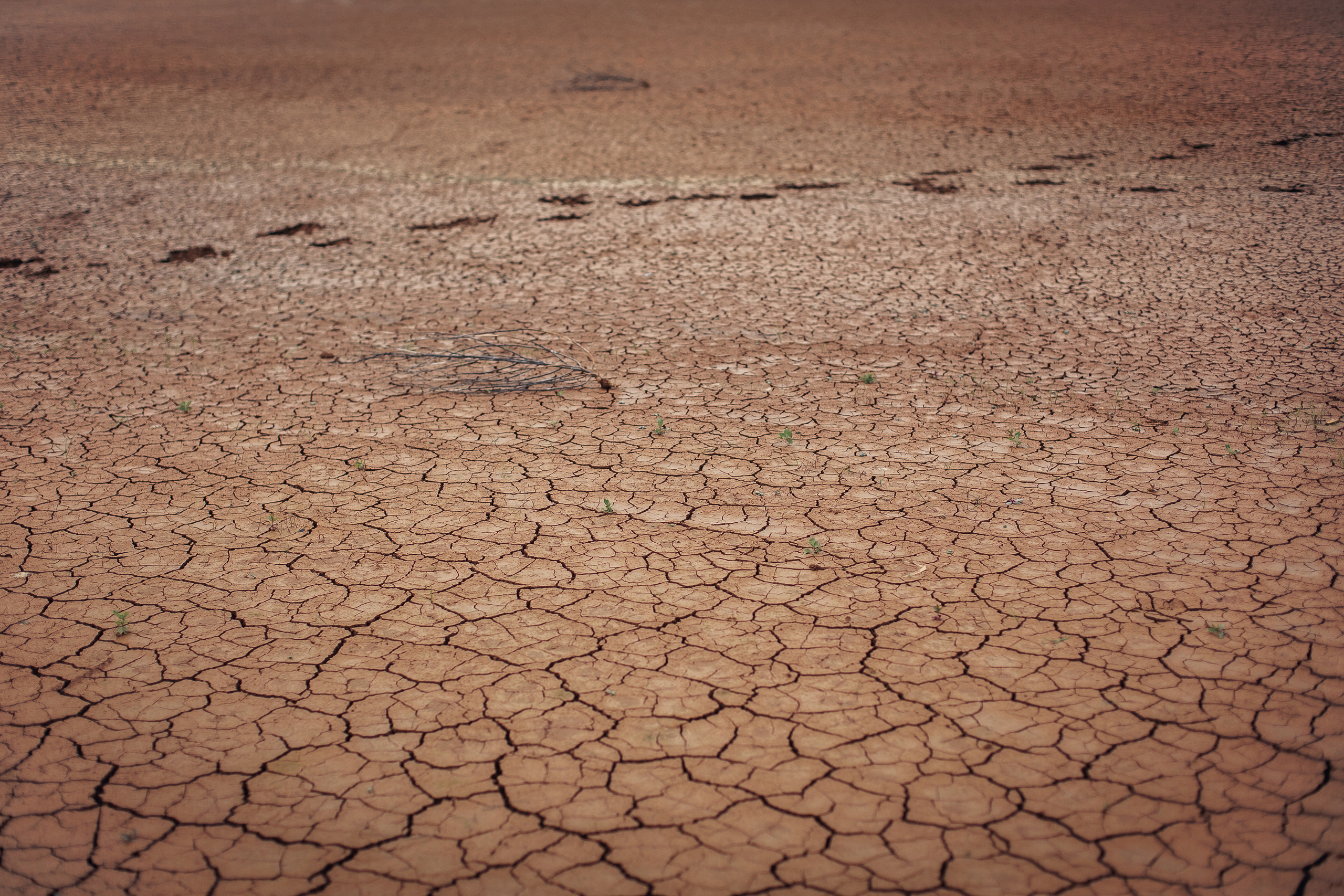 Песок да и только!. Свадебный фотограф Москва и МО