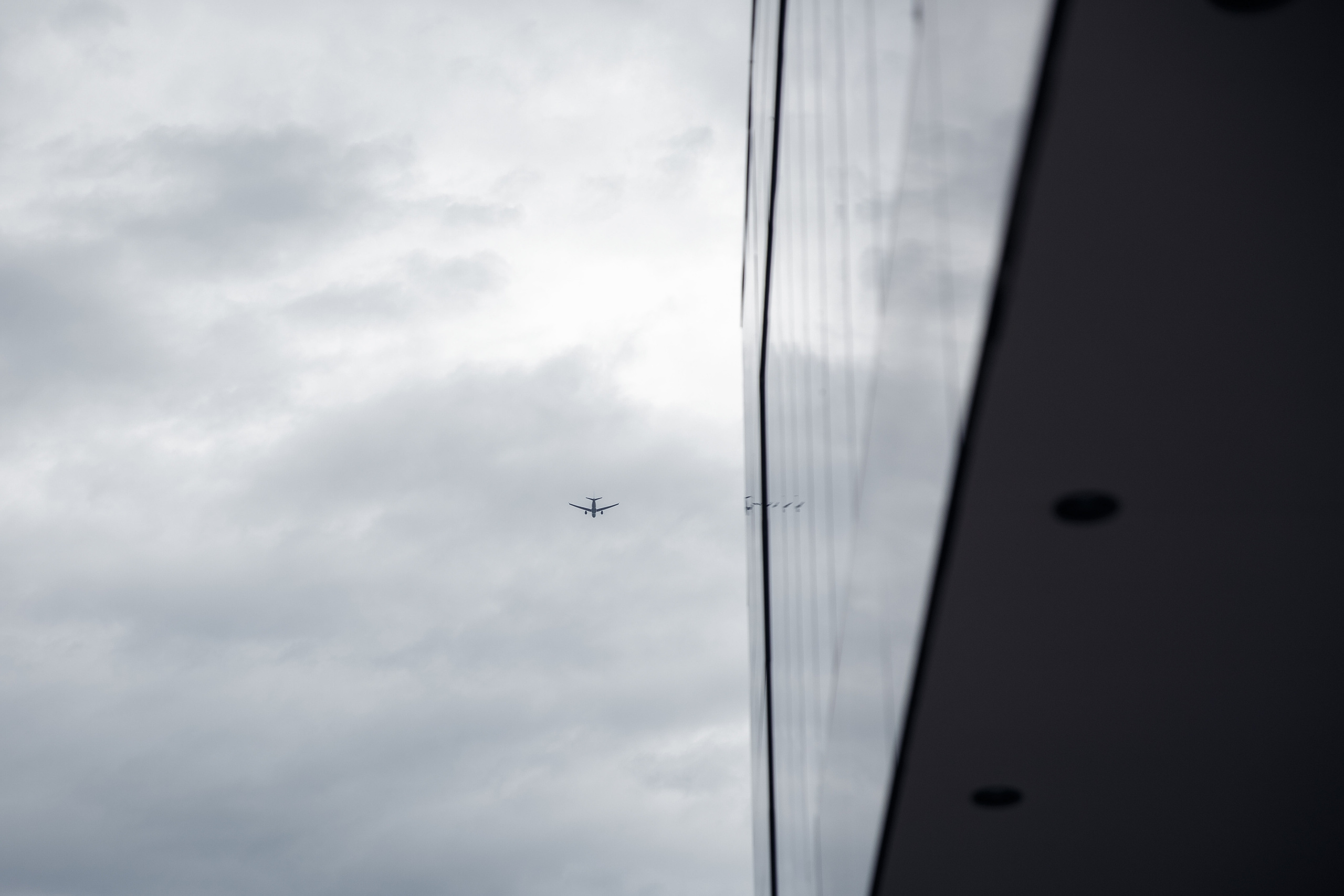 Свадебная тусовка. Свадебный фотограф Москва и МО