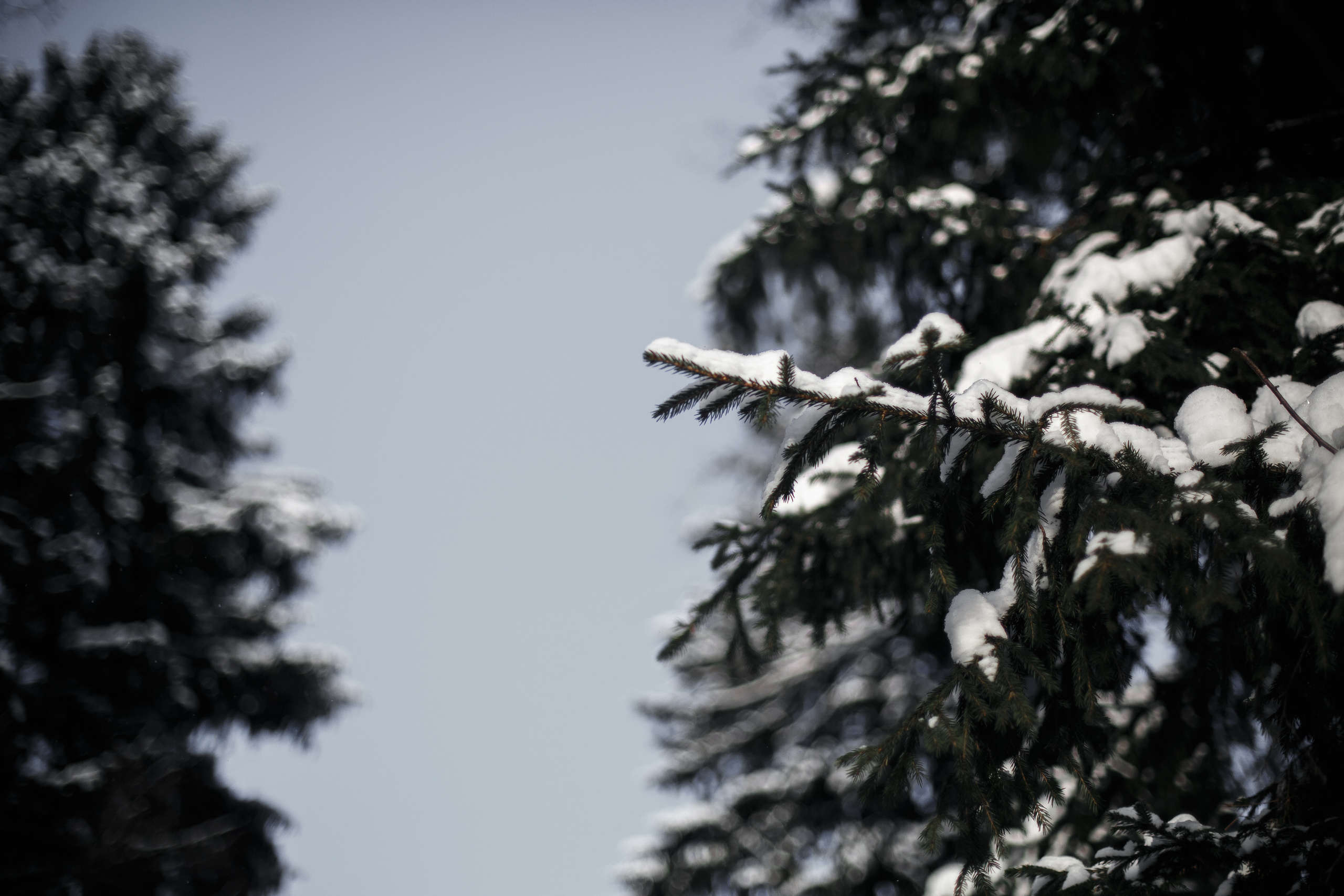 А не погреться ли нам?. Свадебный фотограф Москва и МО