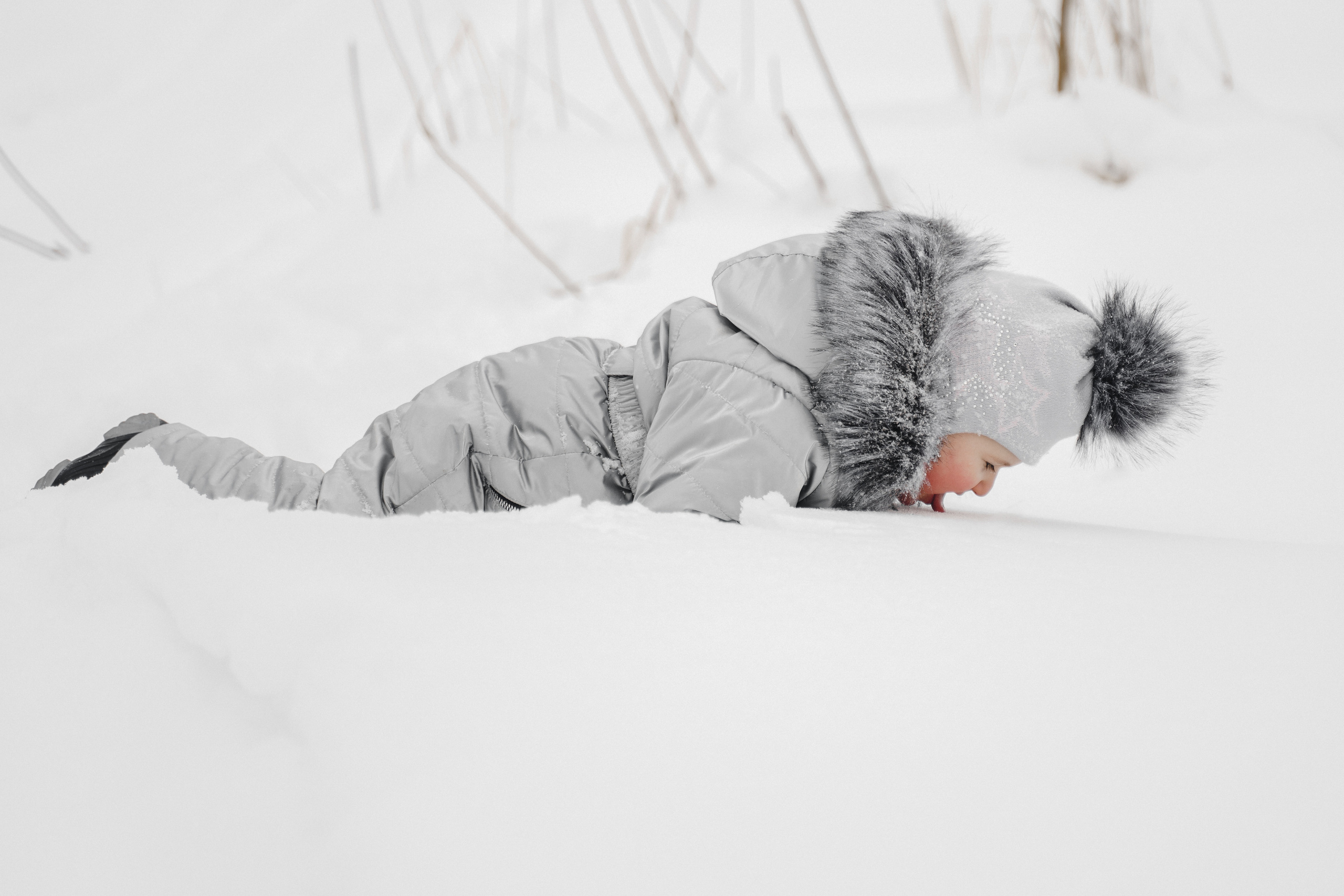 Холодно и вкусно!. Свадебный фотограф Москва и МО