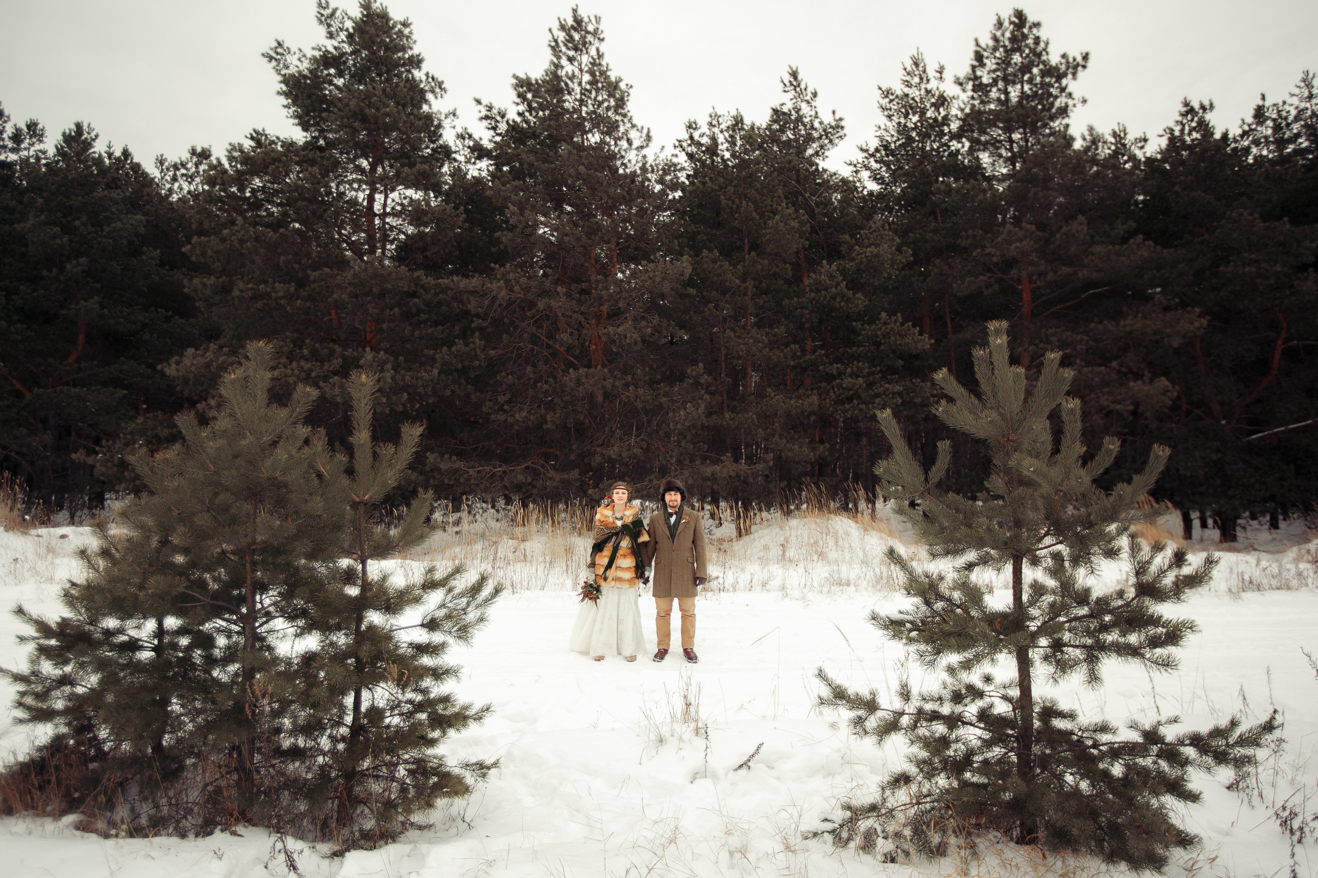 Зимним днем. Свадебный фотограф Москва и МО