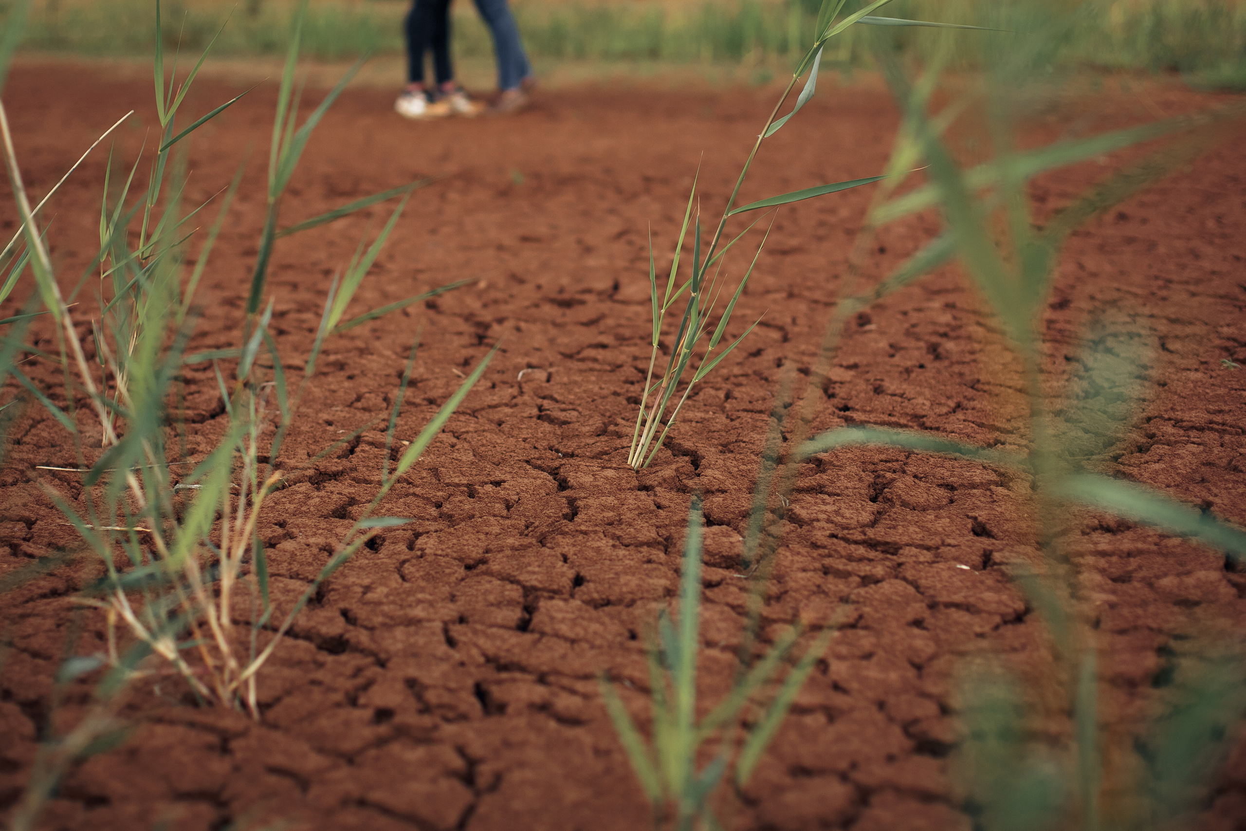 Песок да и только!. Свадебный фотограф Москва и МО