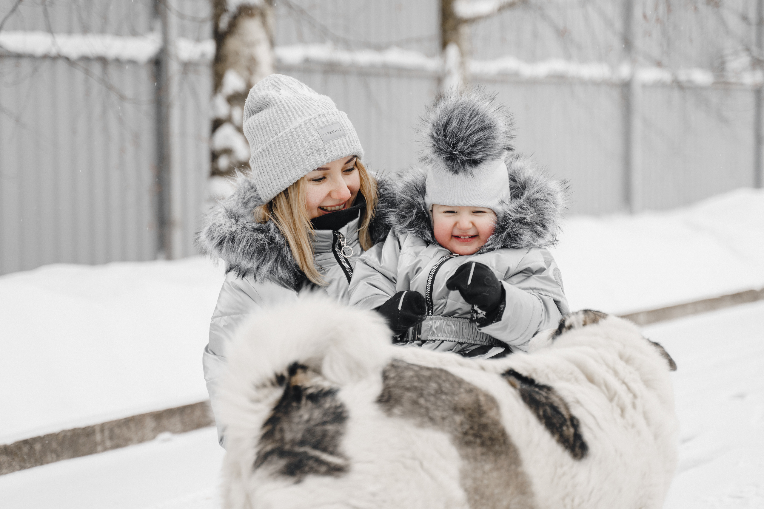 Холодно и вкусно!. Свадебный фотограф Москва и МО