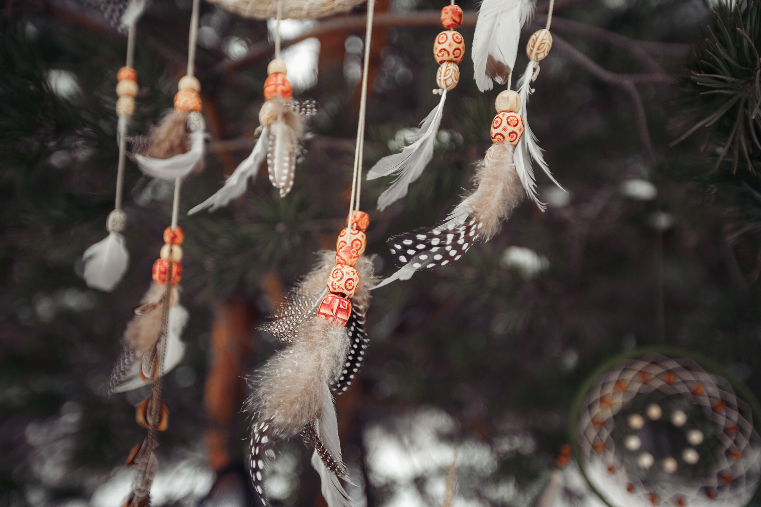 Зимним днем. Свадебный фотограф Москва и МО