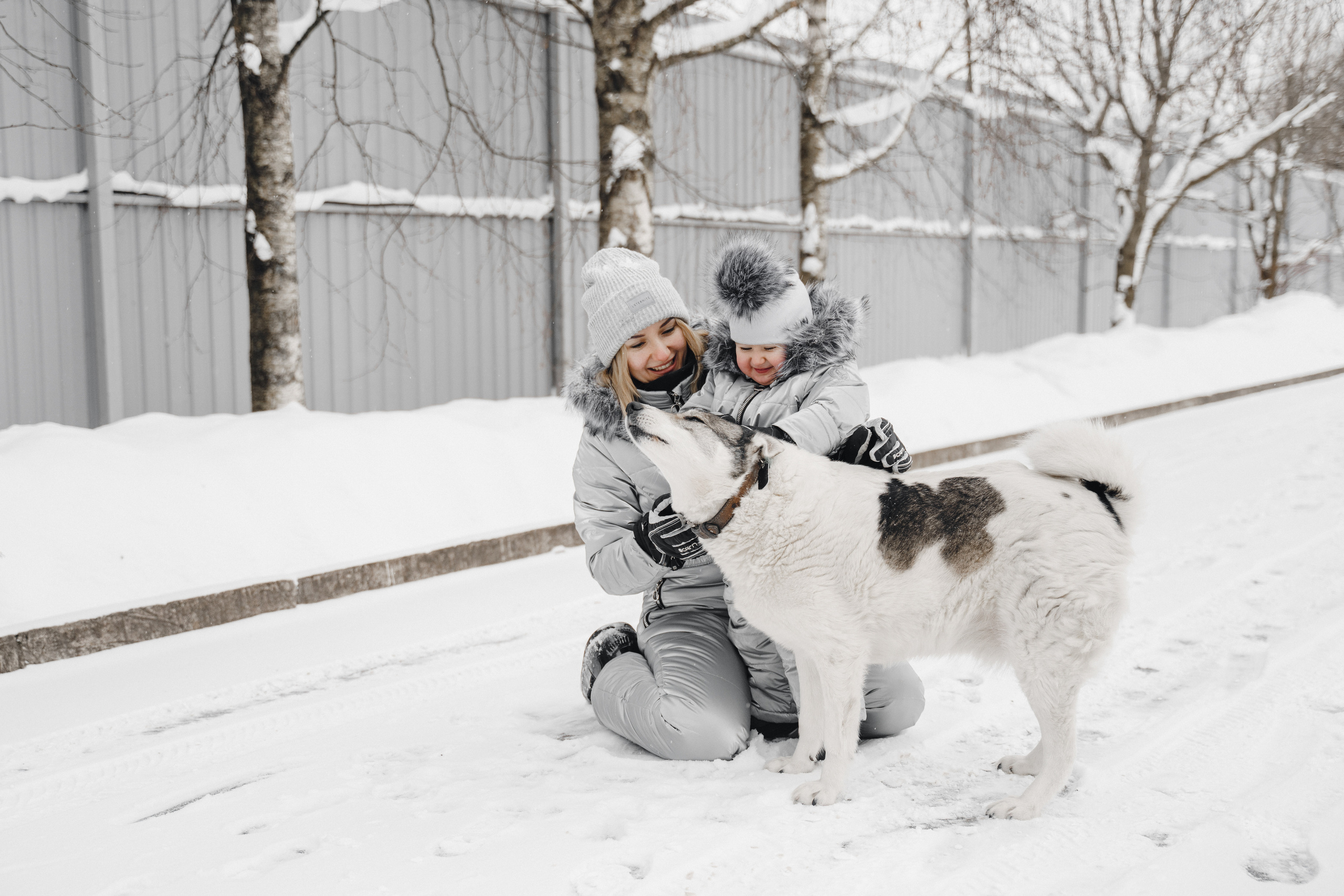 Холодно и вкусно!. Свадебный фотограф Москва и МО