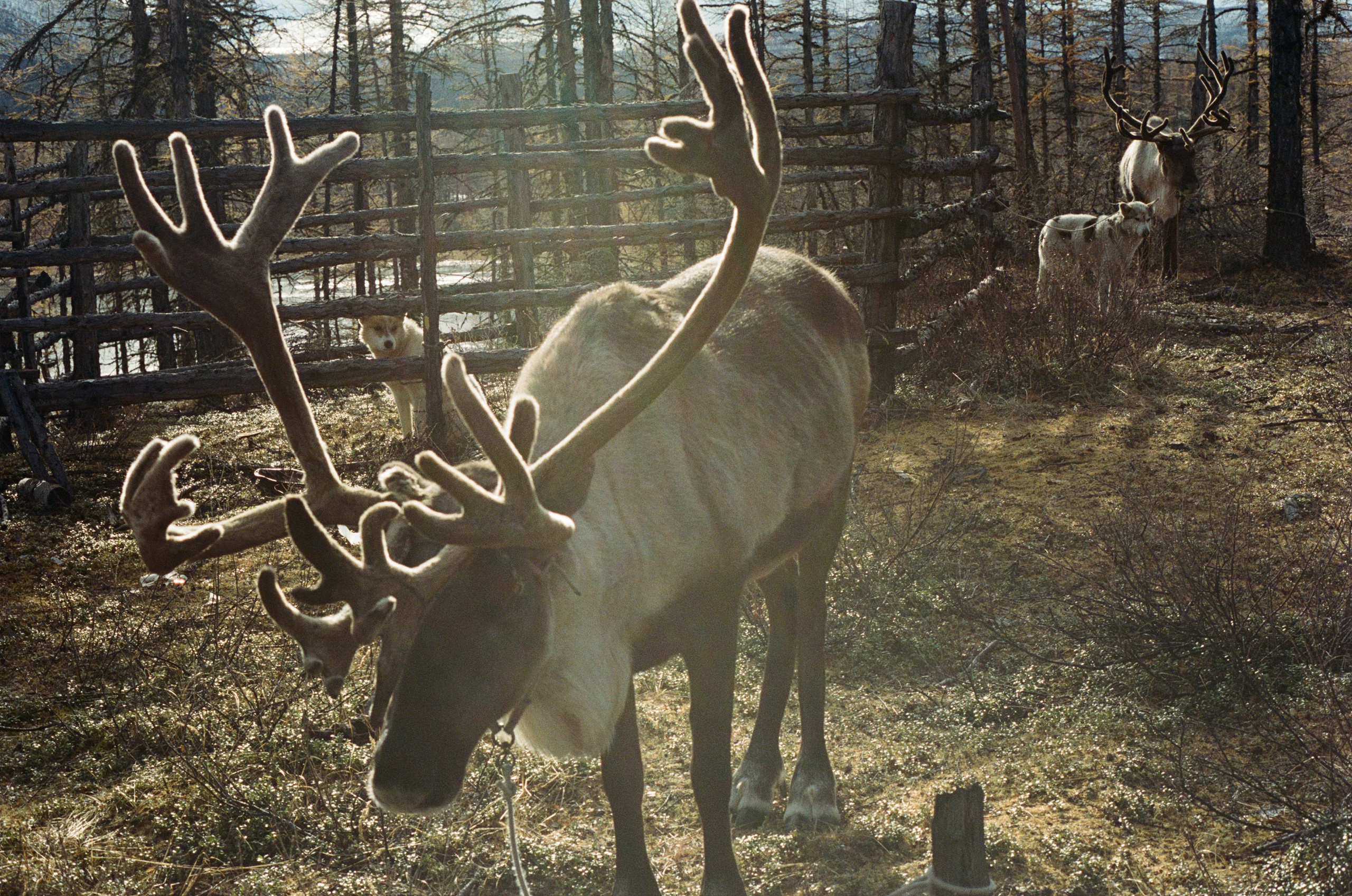 Не забудь накормить озеро. Natalya Madilyan
