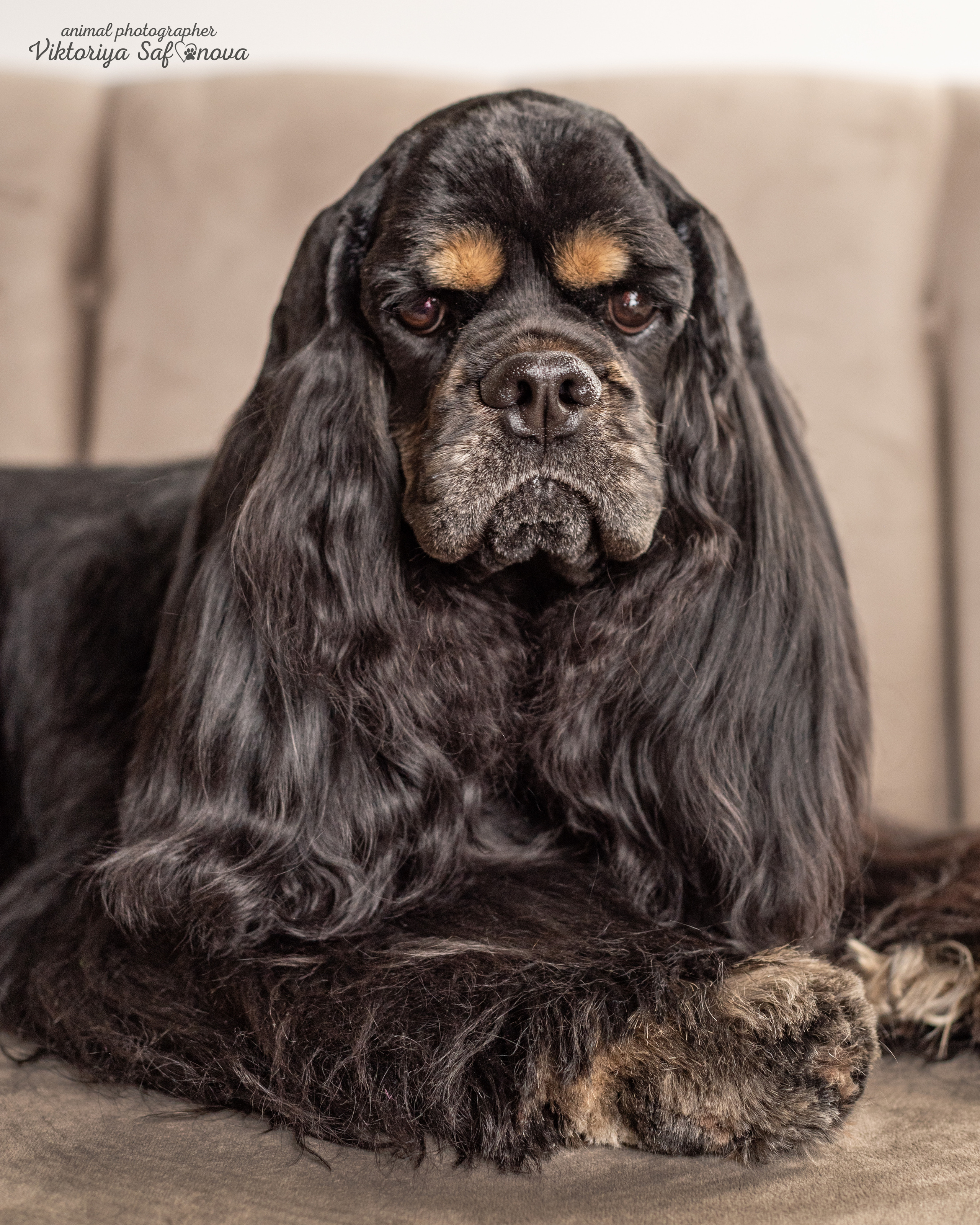 Акуна. Фотограф анималист Благовещенск. Сафонова Виктория