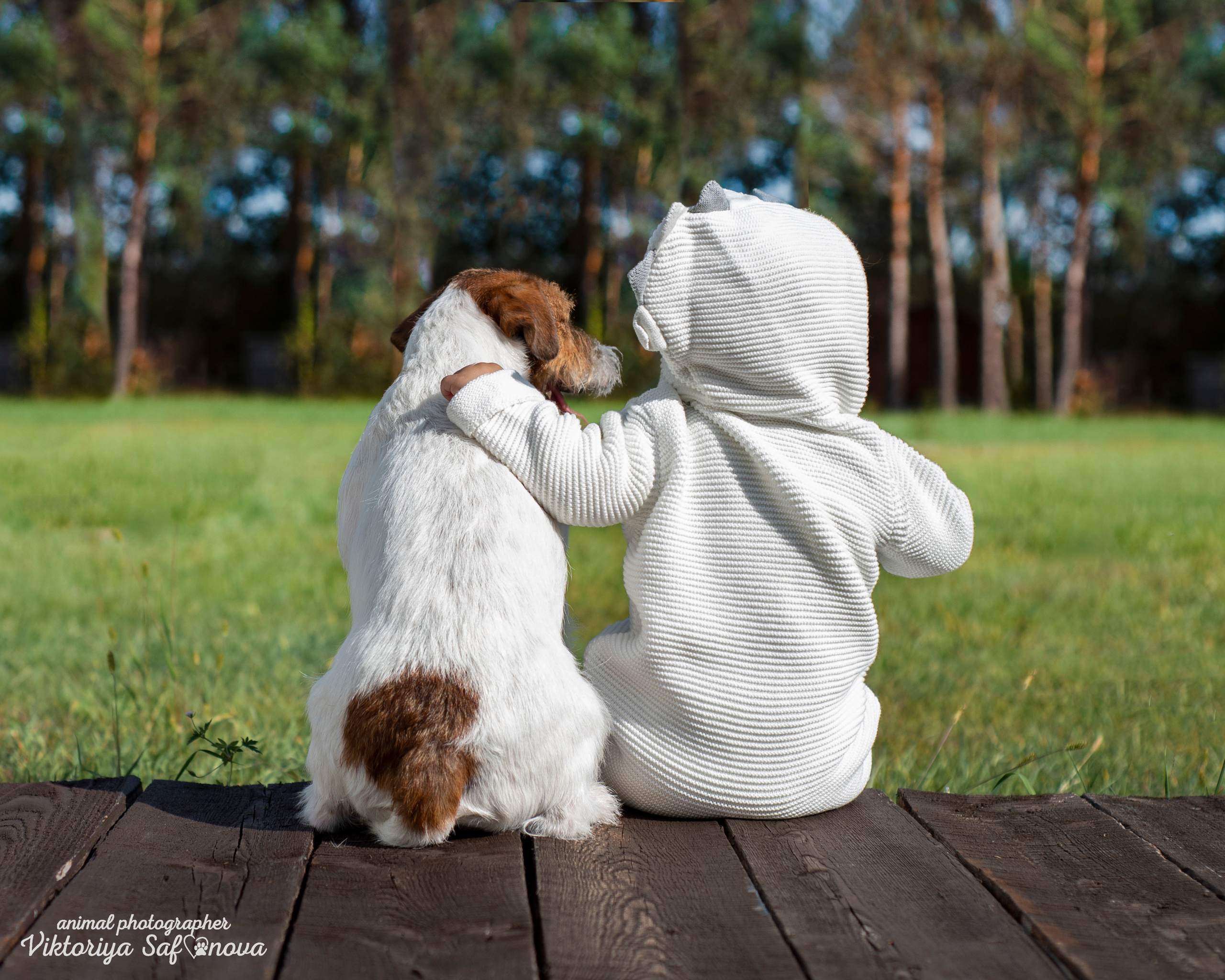 Рома, Аня и Перец 13.09.2022. Фотограф анималист Благовещенск. Сафонова Виктория