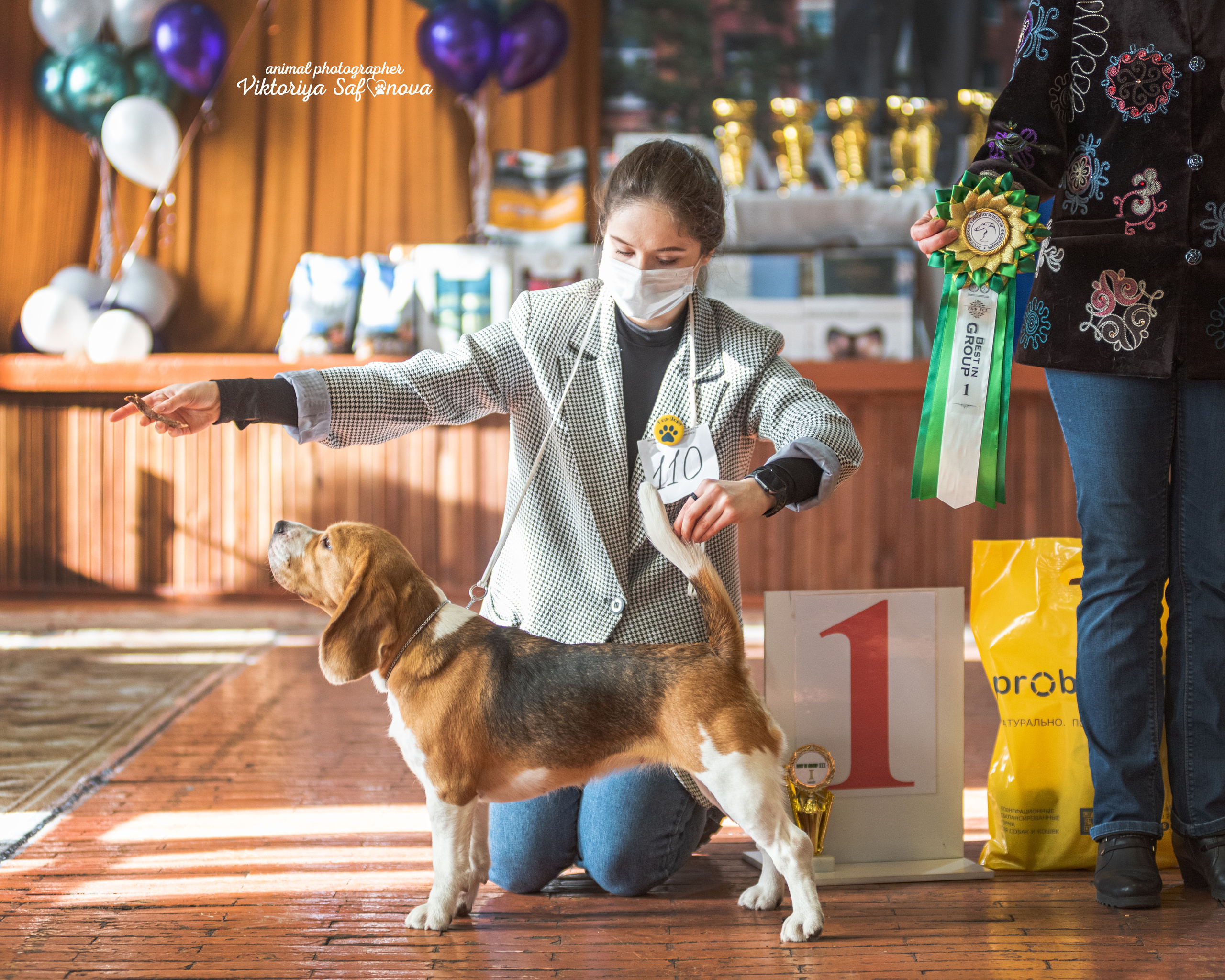 4–5 февраля 2023 Благовещенск. Фотограф анималист Благовещенск. Сафонова Виктория