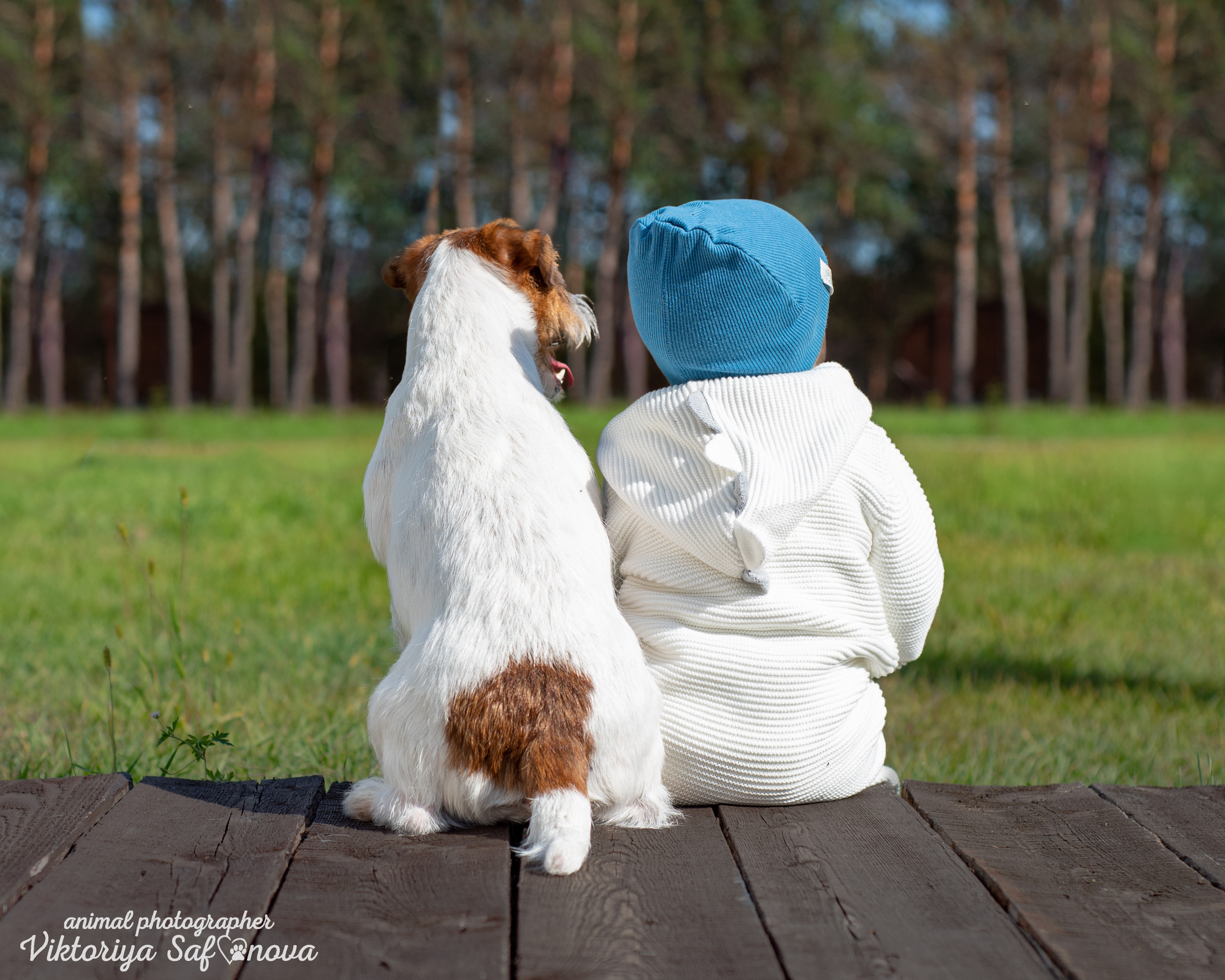 Рома, Аня и Перец 13.09.2022. Фотограф анималист Благовещенск. Сафонова Виктория