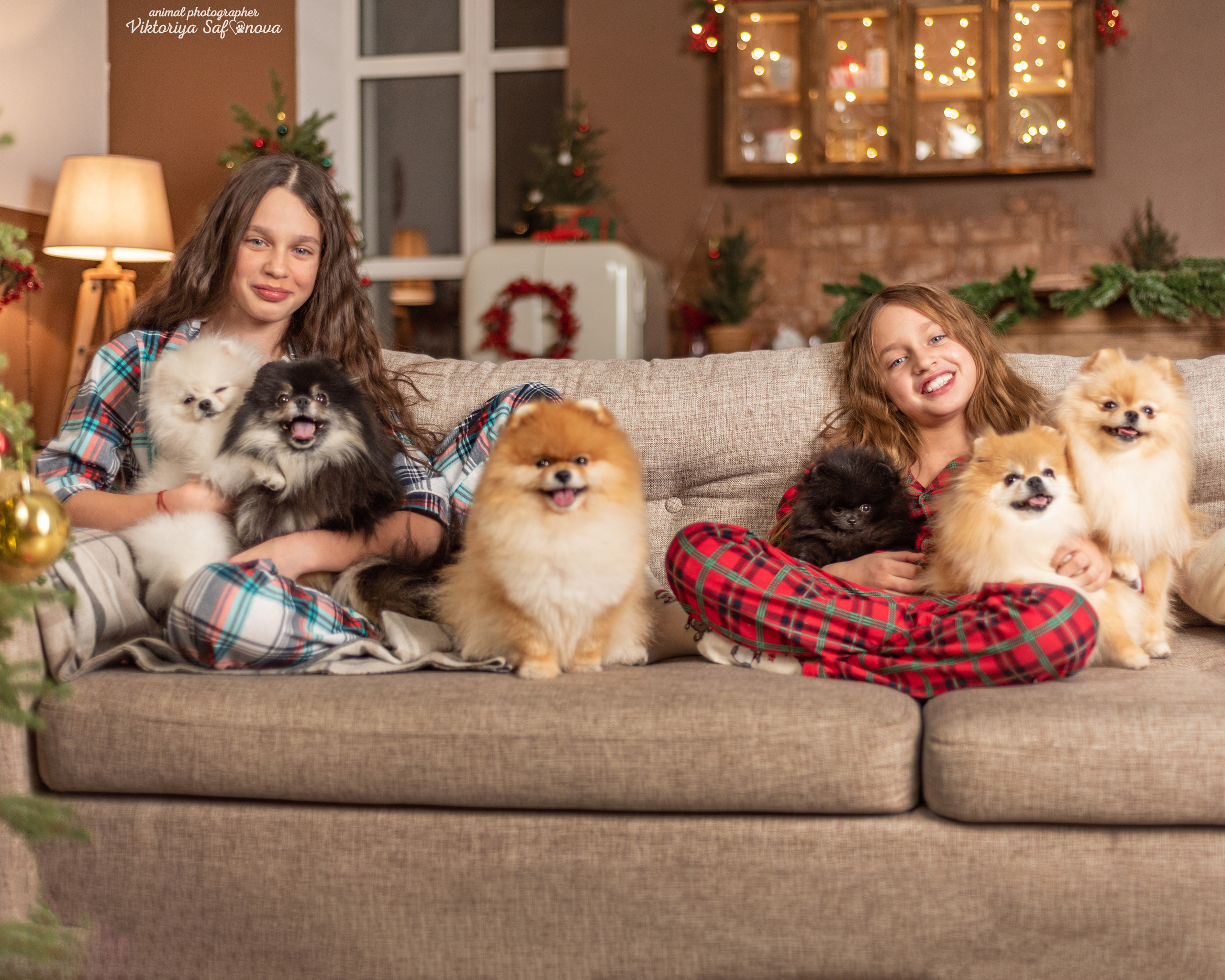 Тася, Мишель и шпицы. Фотограф анималист Благовещенск. Сафонова Виктория