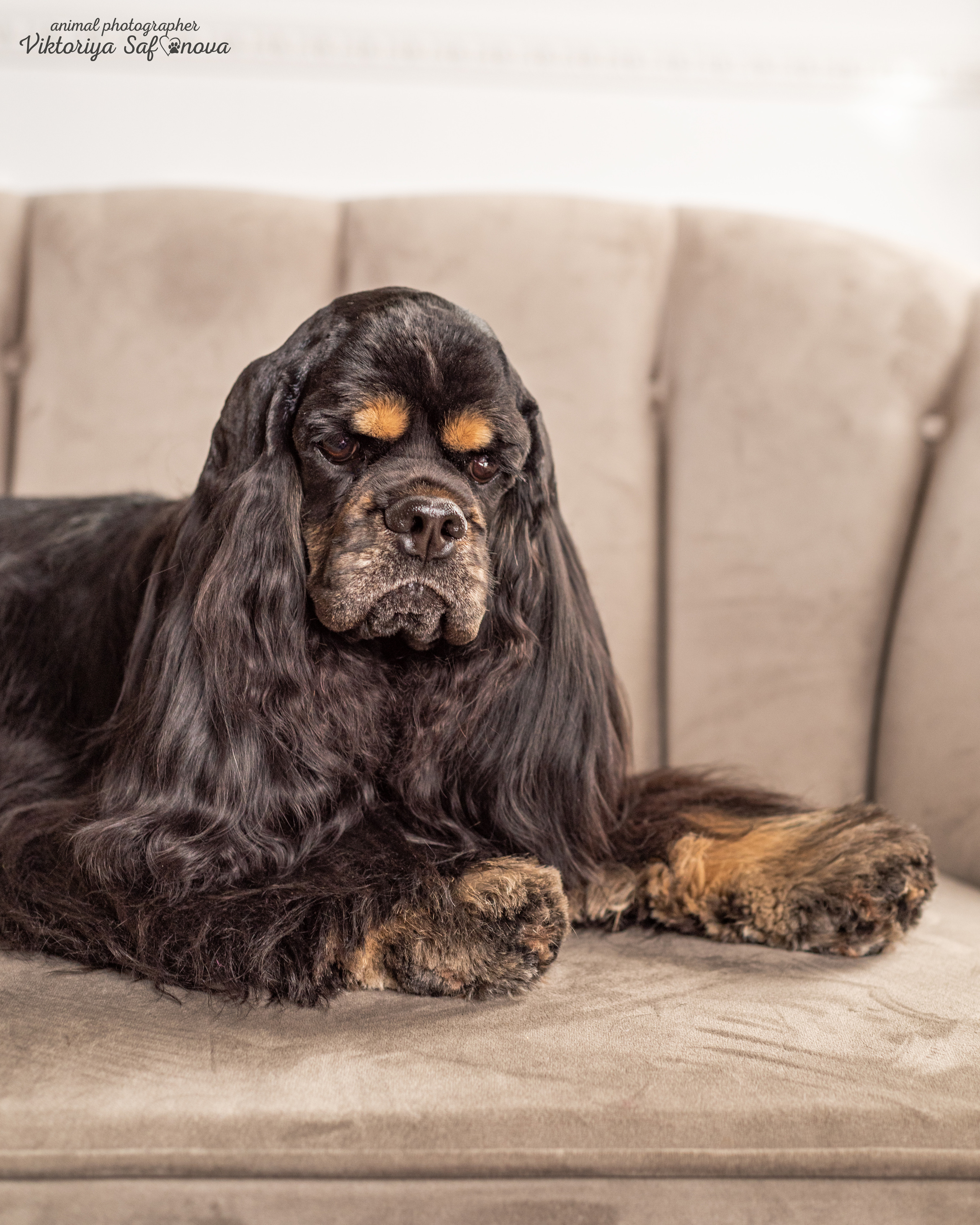 Акуна. Фотограф анималист Благовещенск. Сафонова Виктория