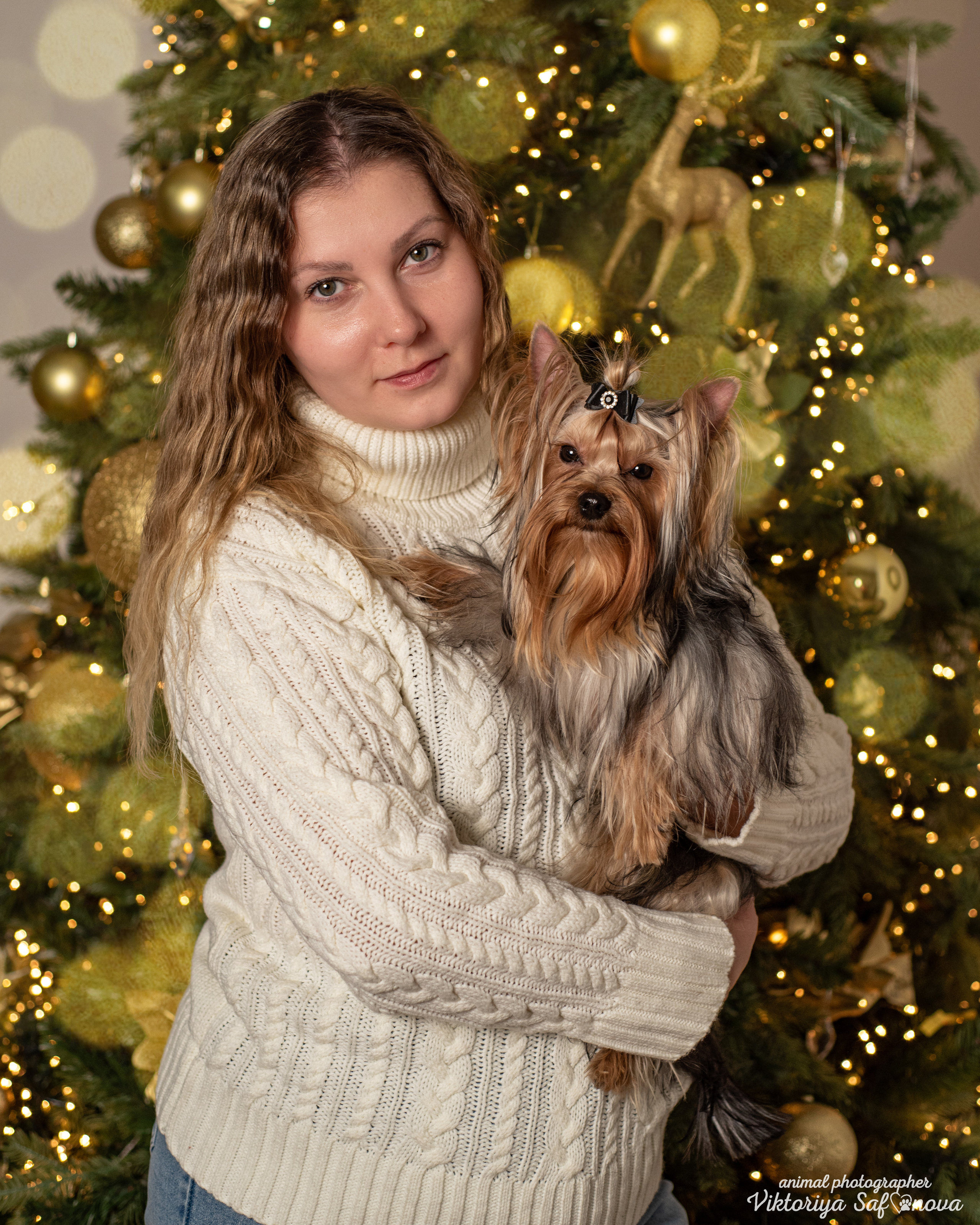 Саша, Пери и Френк. Фотограф анималист Благовещенск. Сафонова Виктория