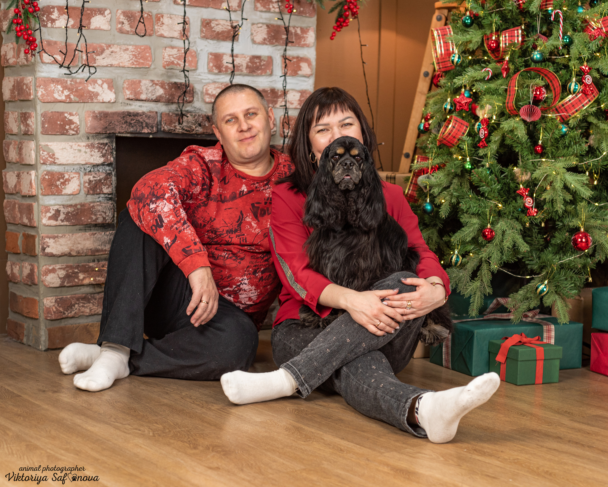 Акуна. Фотограф анималист Благовещенск. Сафонова Виктория