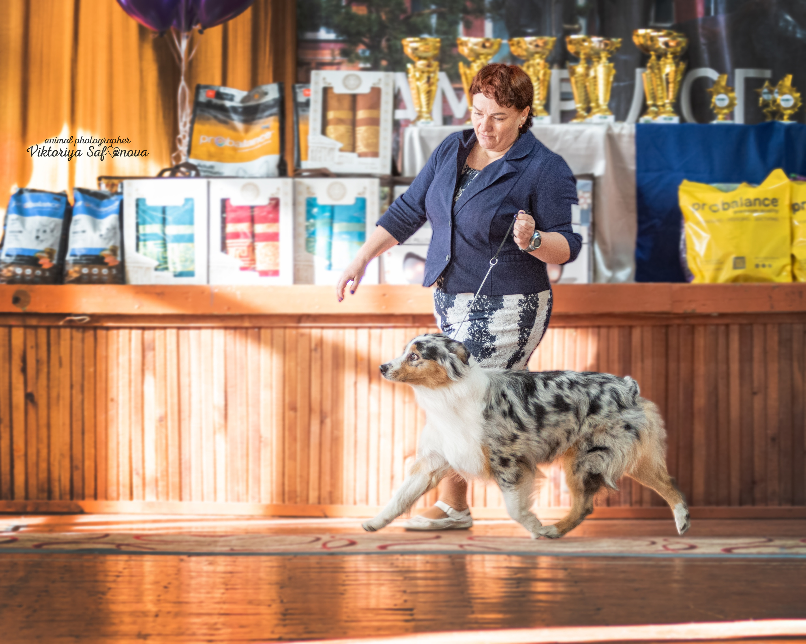 4–5 февраля 2023 Благовещенск. Фотограф анималист Благовещенск. Сафонова Виктория