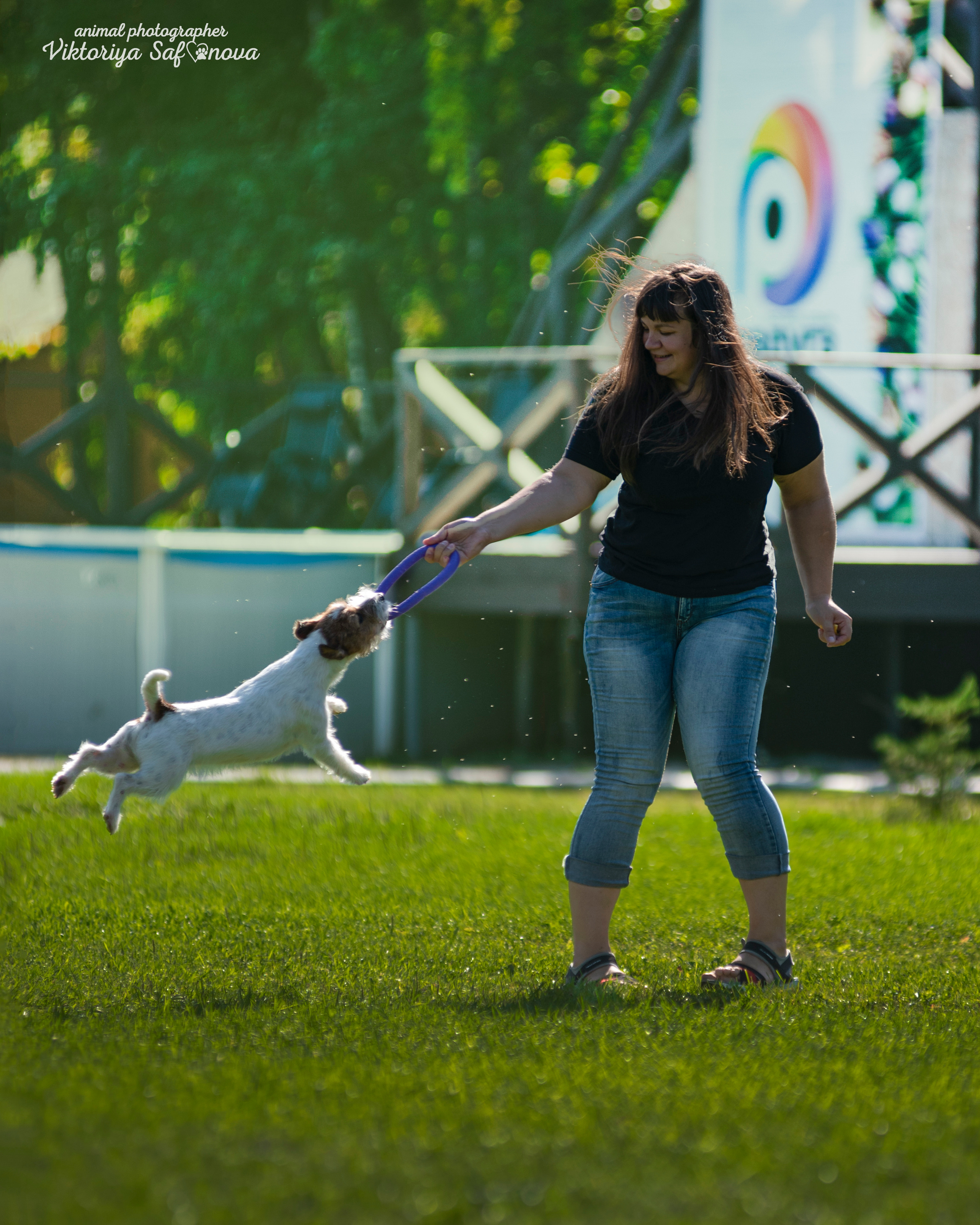 Рома, Аня и Перец 13.09.2022. Фотограф анималист Благовещенск. Сафонова Виктория