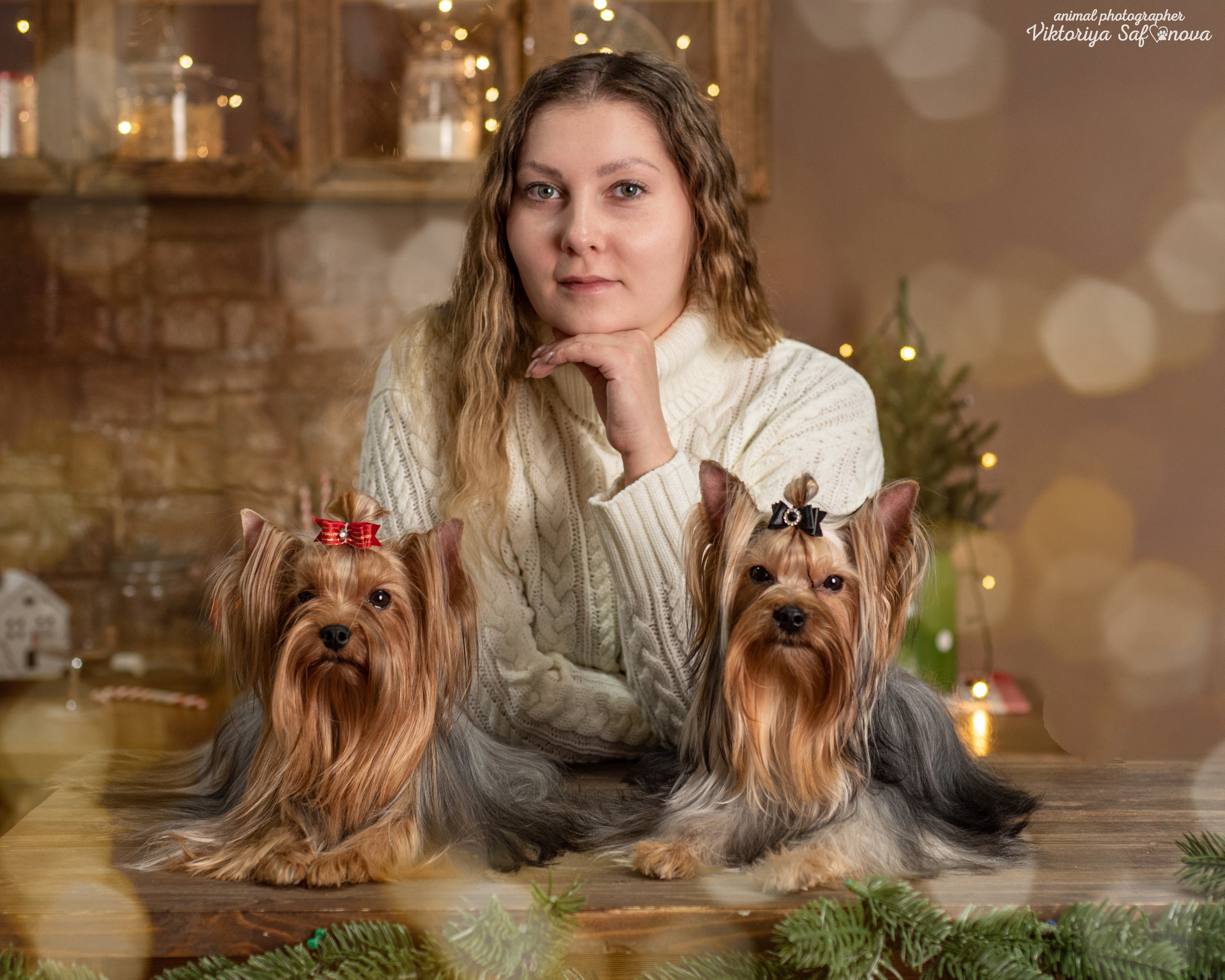 Саша, Пери и Френк. Фотограф анималист Благовещенск. Сафонова Виктория