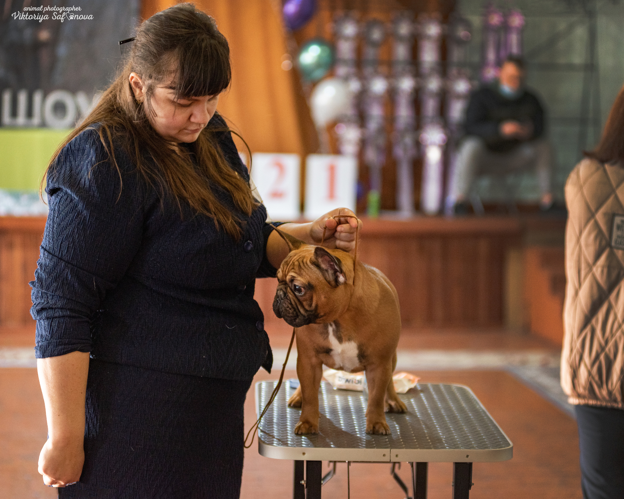 4–5 февраля 2023 Благовещенск. Фотограф анималист Благовещенск. Сафонова Виктория