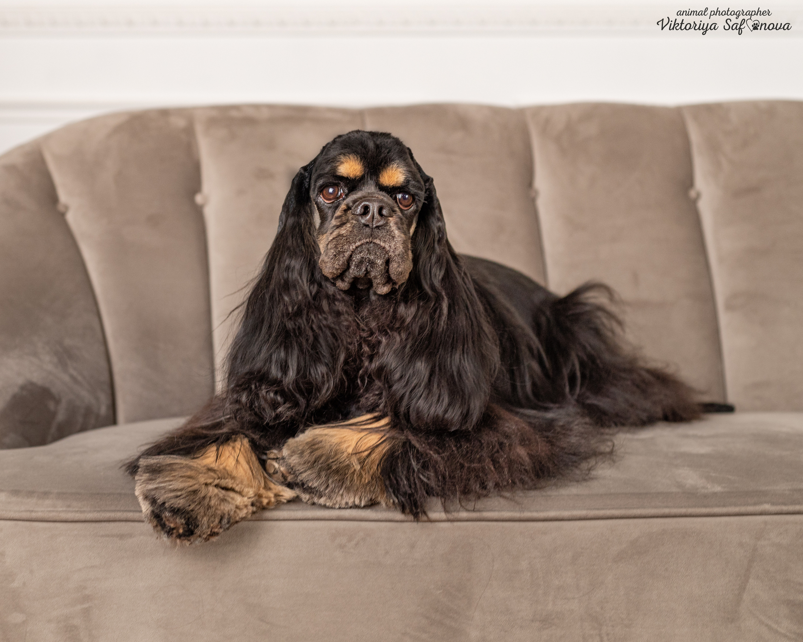 Акуна. Фотограф анималист Благовещенск. Сафонова Виктория