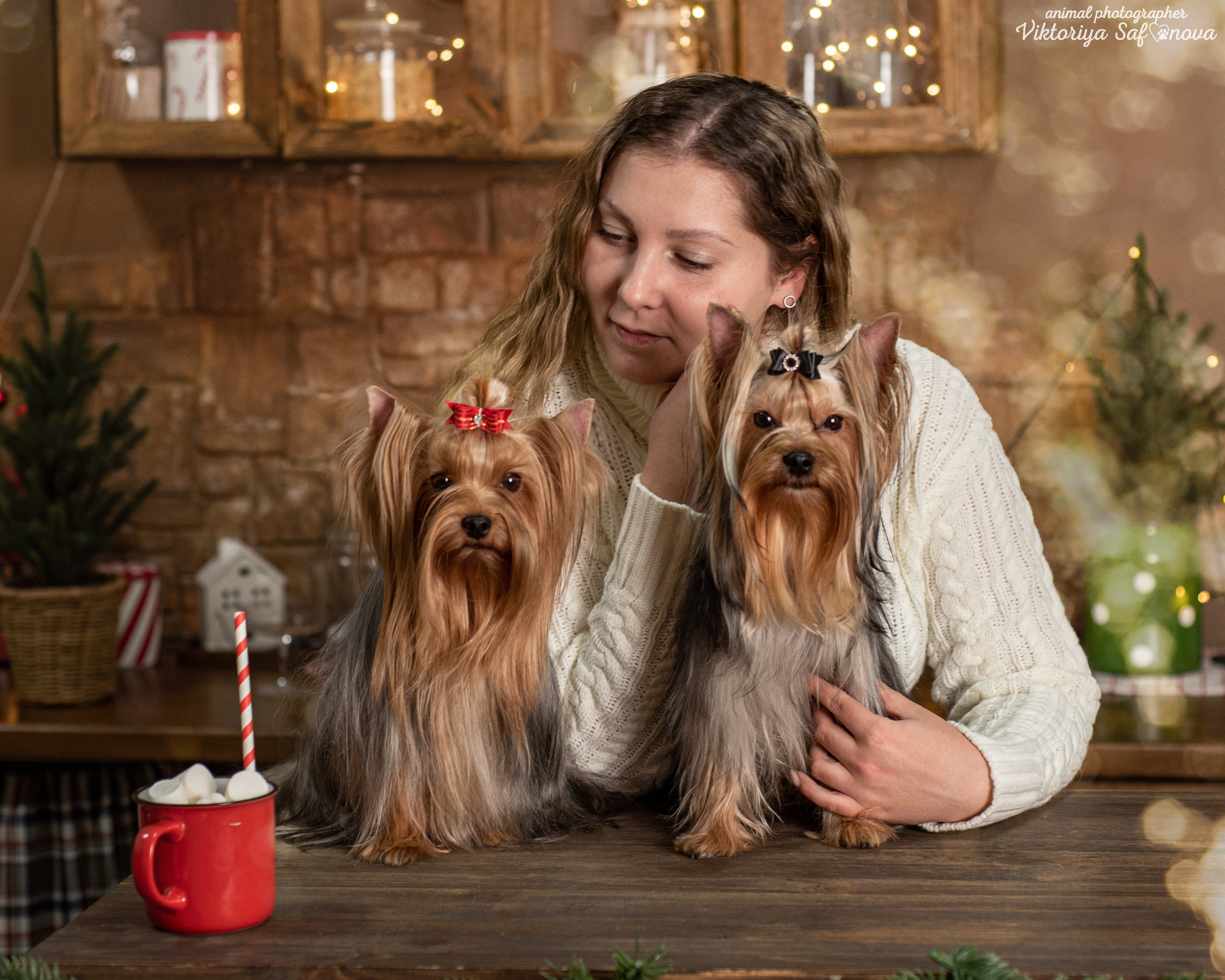 Саша, Пери и Френк. Фотограф анималист Благовещенск. Сафонова Виктория