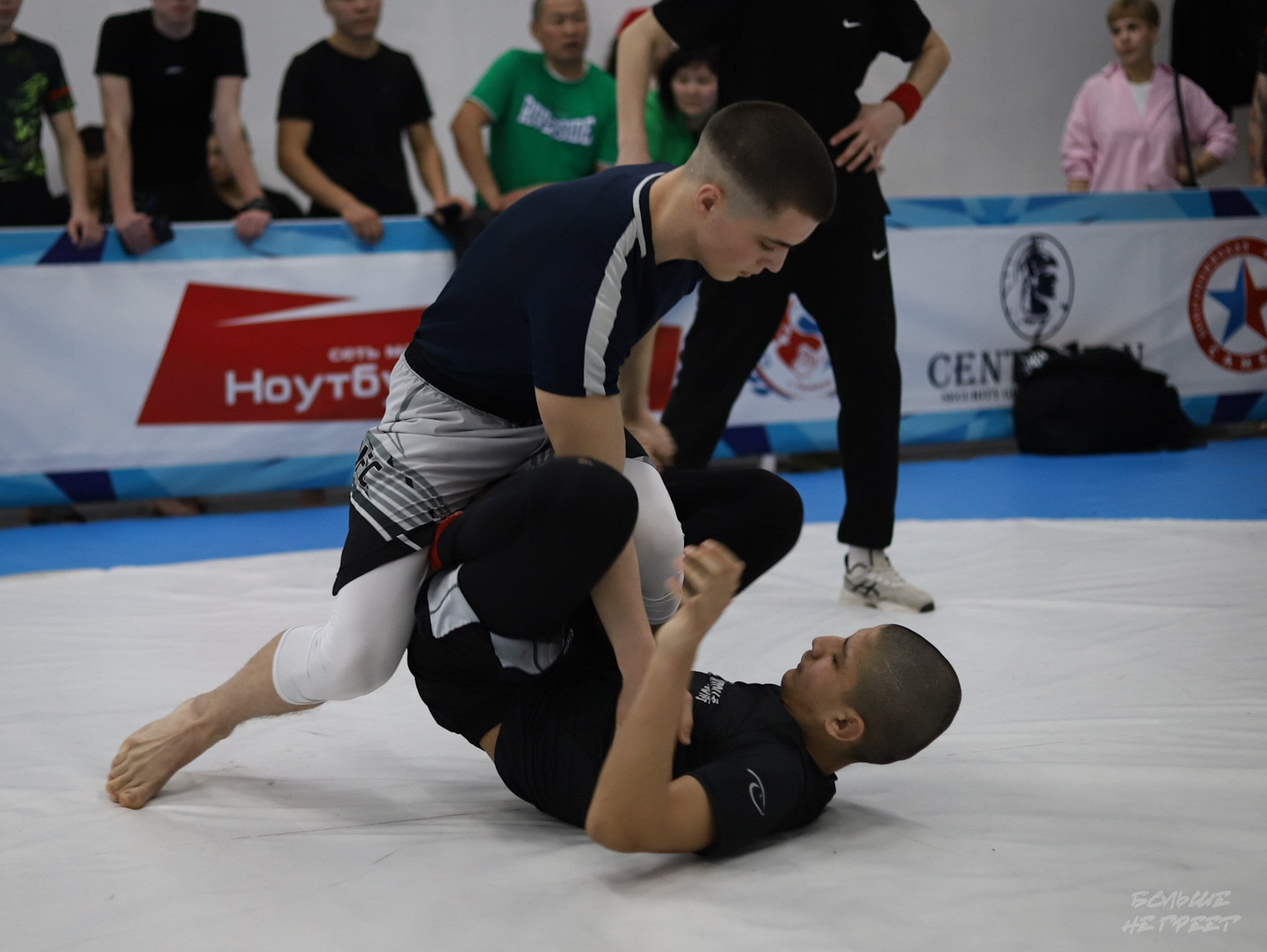 GORILLA PRIDE CUP. Больше не греет