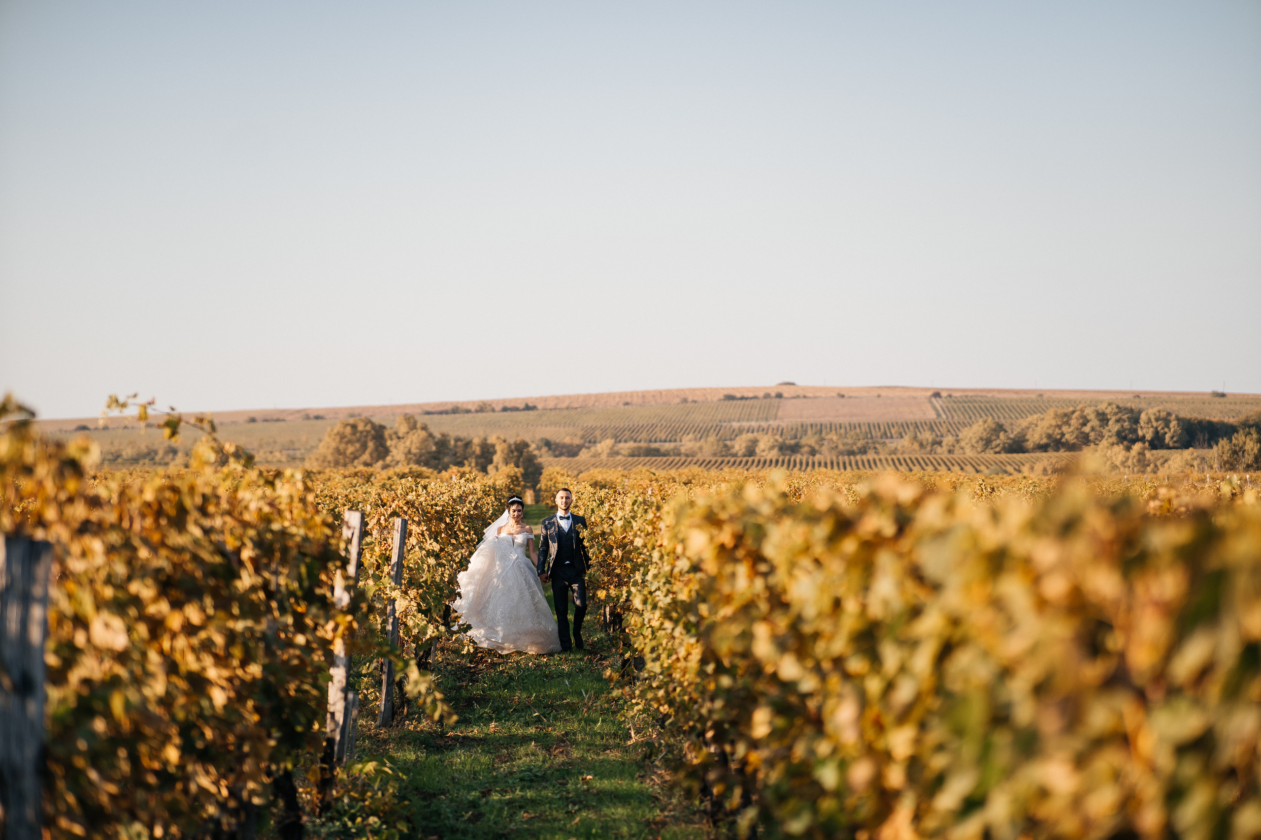 Свадьбы. Свадебный фотограф в Краснодаре