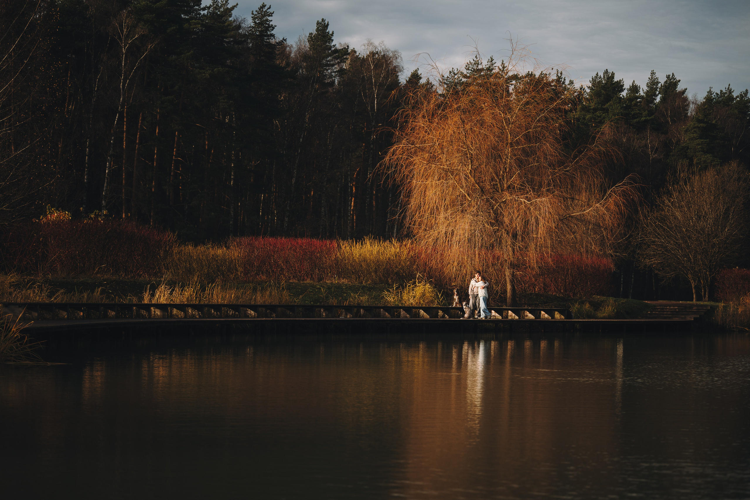Настя, Максим, Орео и Норд. Семейный фотограф анималист Ананьева Мария — Москва
