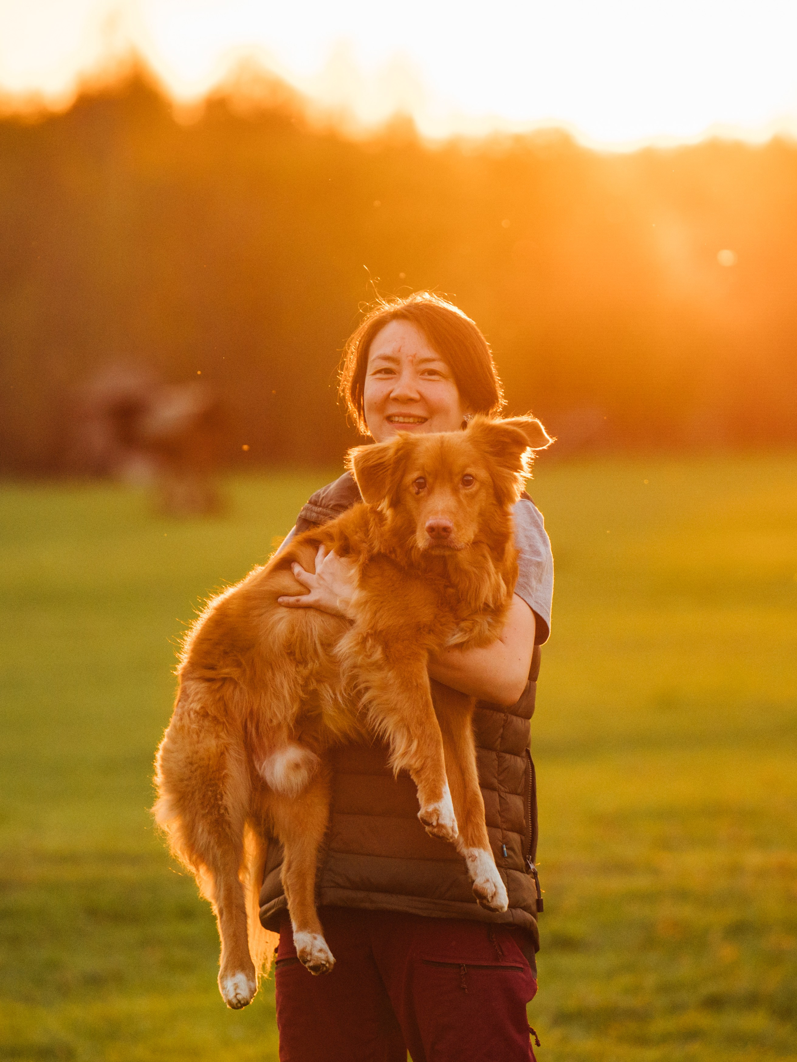 Алия, Ирвин и Грут. Семейный фотограф анималист Ананьева Мария — Москва