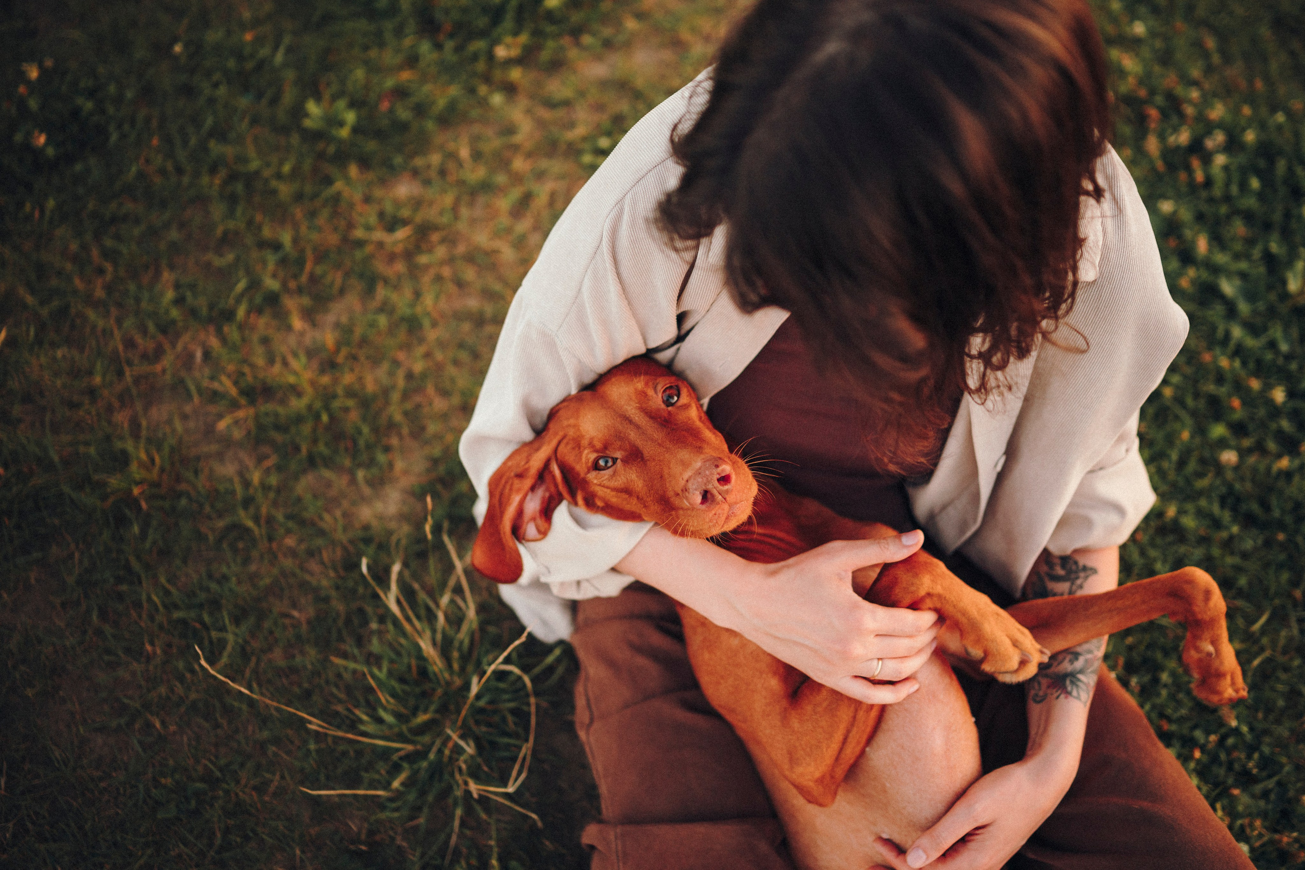 Маша, Трисс и Эста. Семейный фотограф анималист Ананьева Мария — Москва