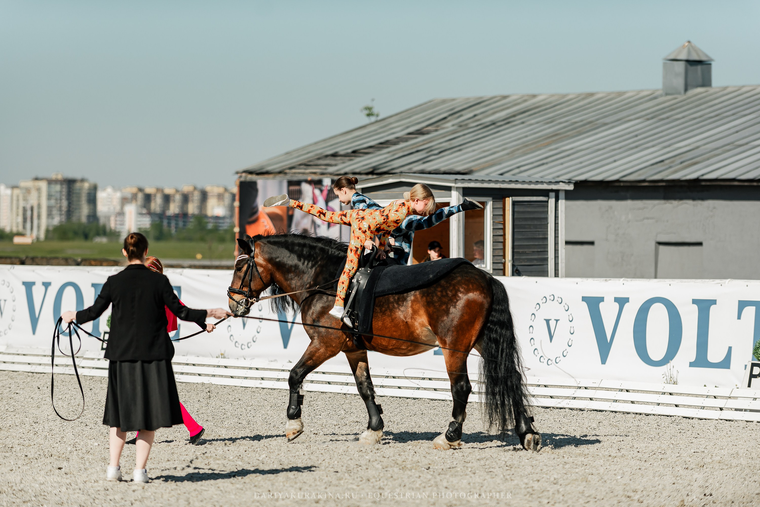 РЕПОРТАЖ МКК ВОЛЬТ «LA TULIPS». Конный фотограф Куракина Дарья • Фотосессии с лошадьми