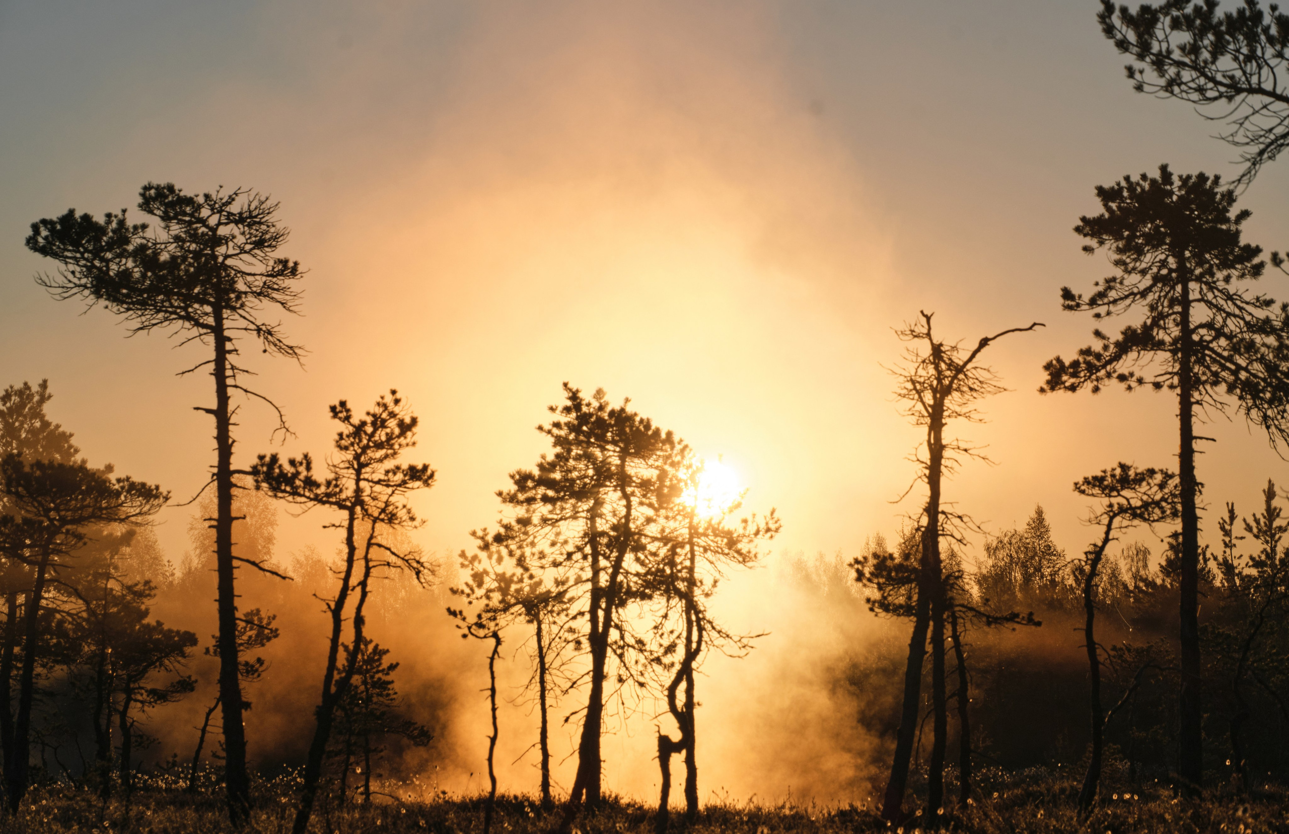 Северные дневники. Алиса Северная. Визуальные исследования. Пейзажная и документальная фотография