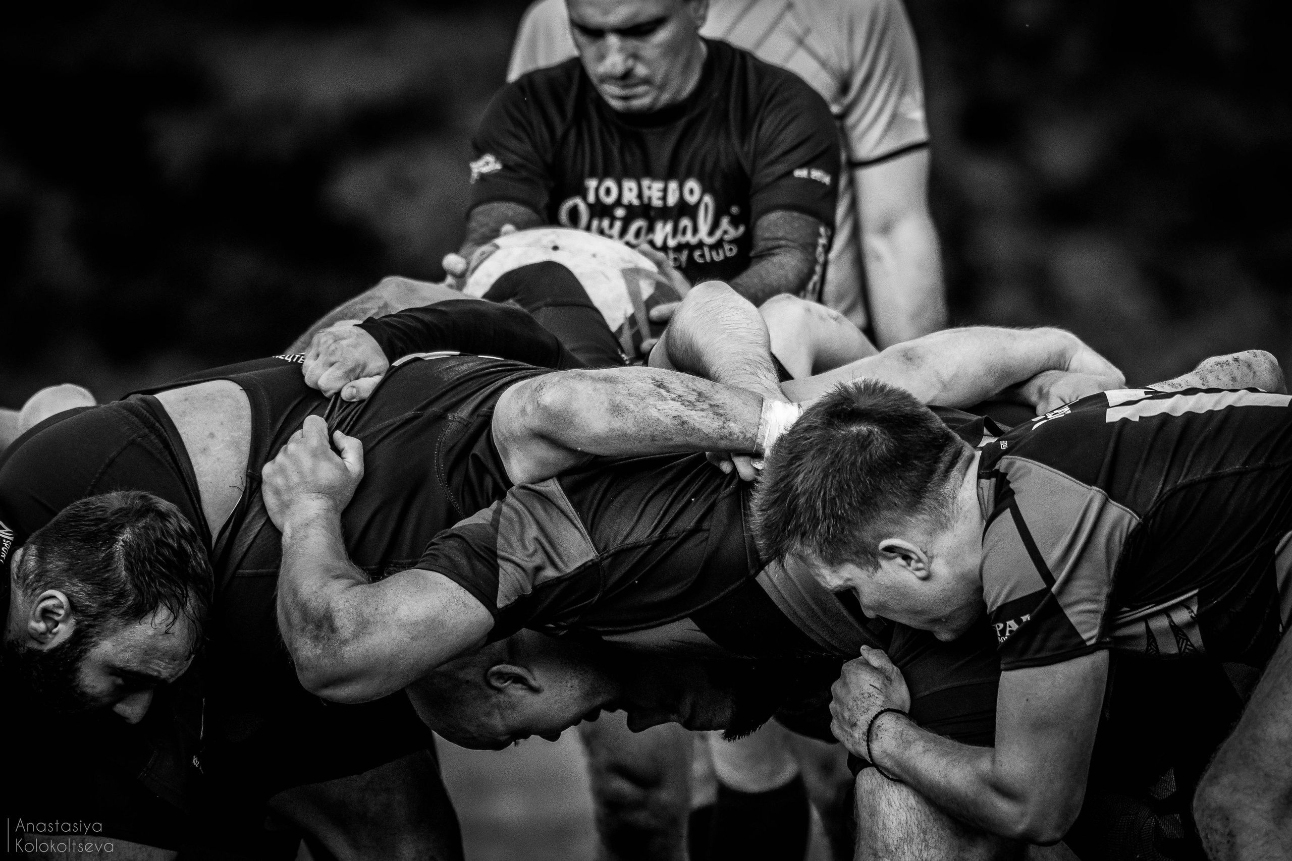 RUGBY. Lisa_krassna