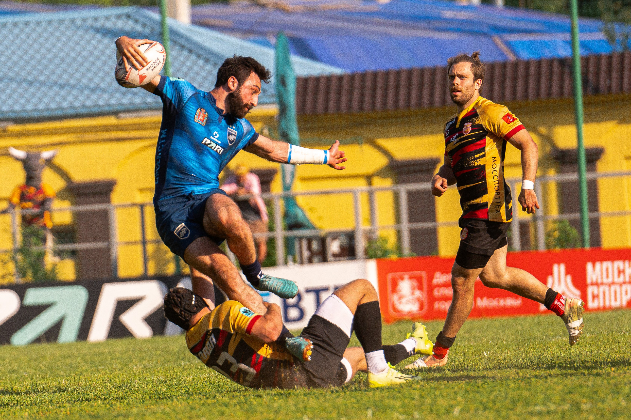 RUGBY. Lisa_krassna
