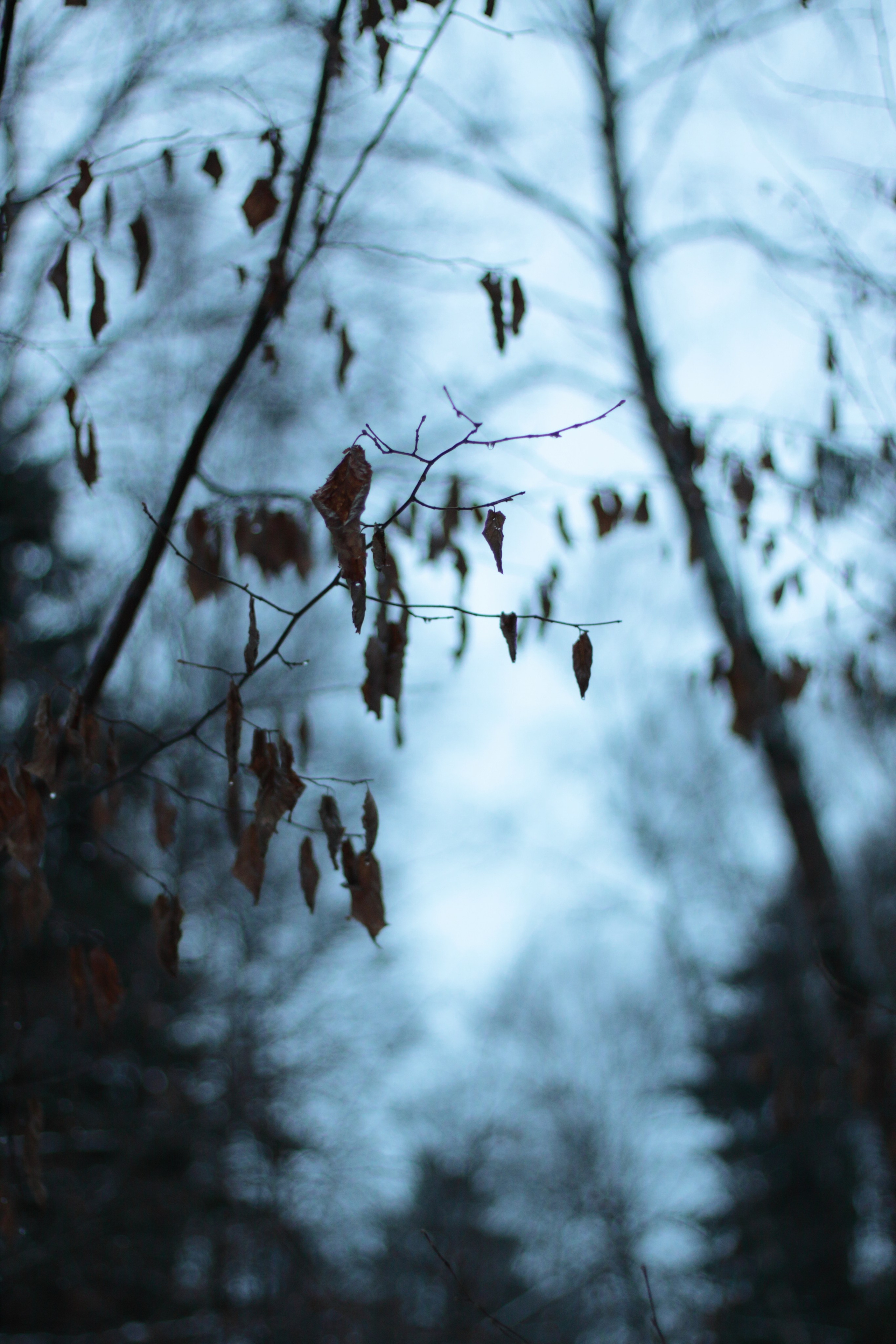 Старое природное, отбирала Katamount (Катерина Горохова). Главная