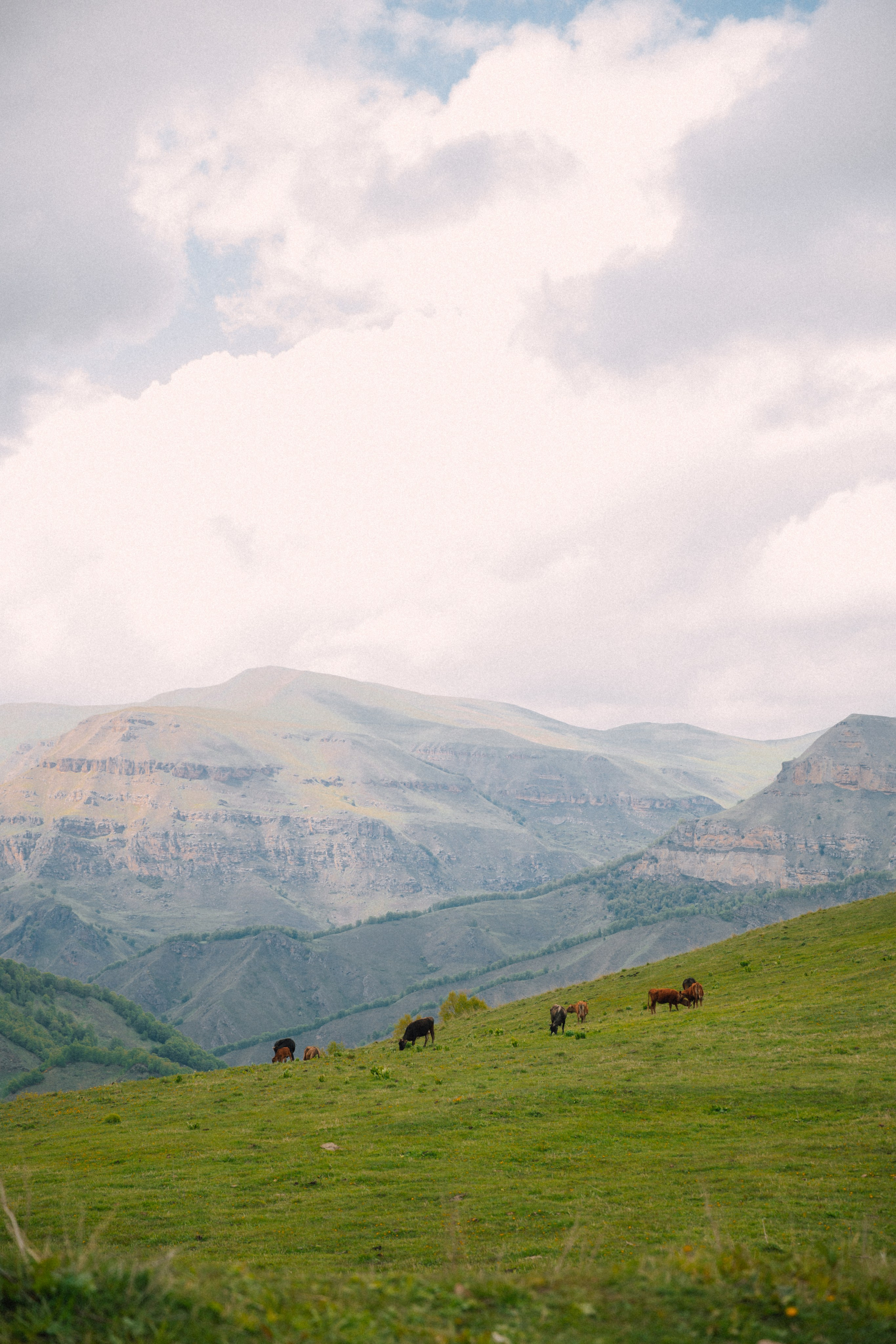 Ксюша и Никита. Фотограф Краснодар Юлия Бураченко Свадьбы Репортаж Семейные Индивидуальные съемки