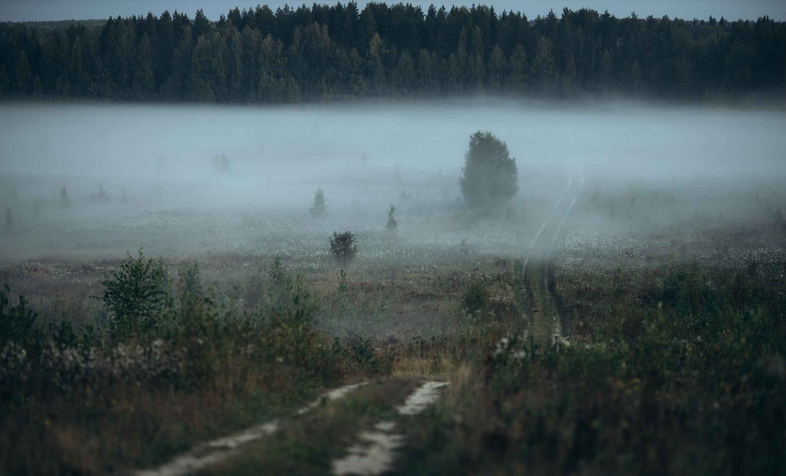 Природные пейзажи. Наталия Клевинскас портретный фотограф в Костроме